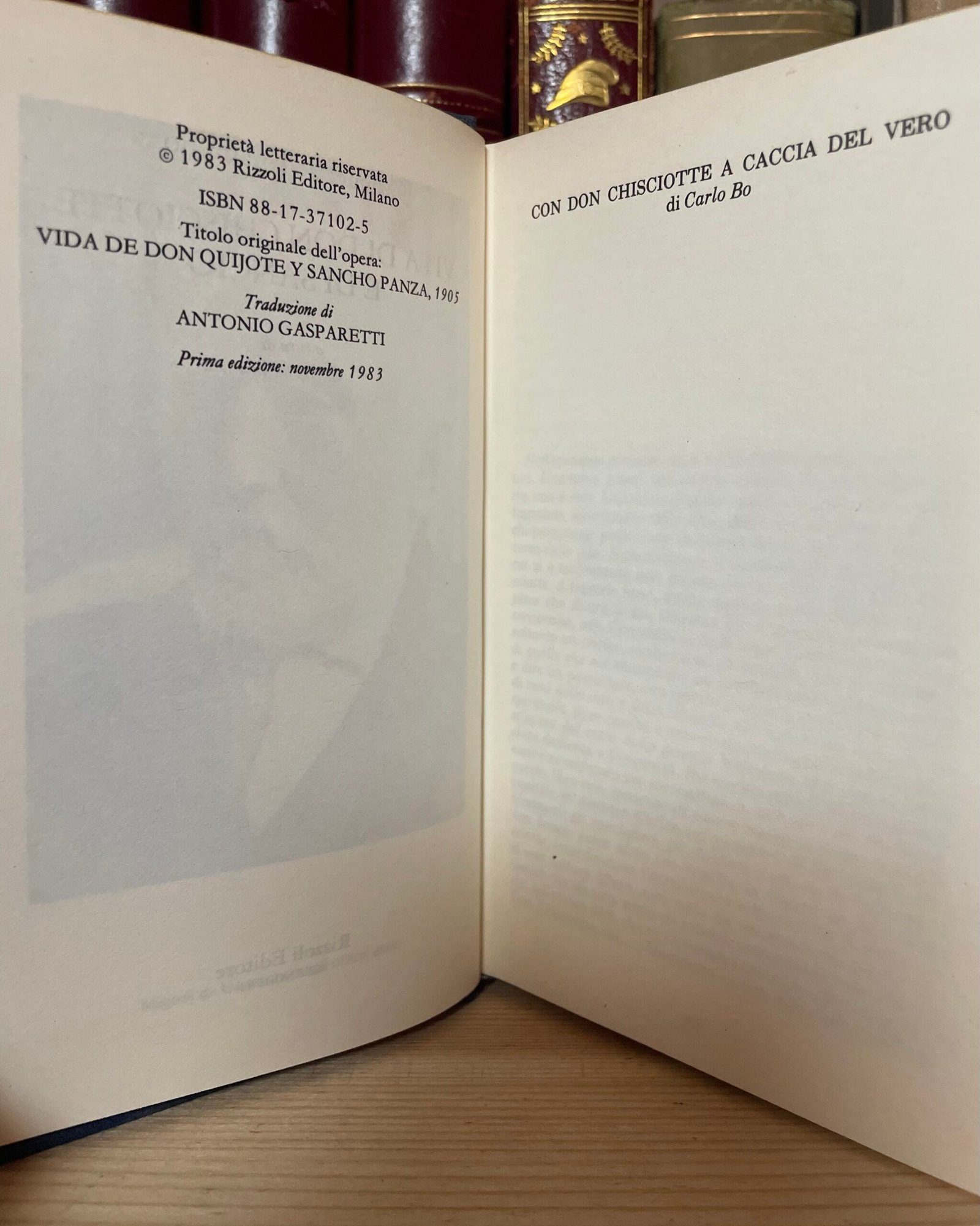 Unamuno Vita di Don Chisciotte e di Sancio a cura di Carlo Bo Rizzoli 1983 - immagine 7