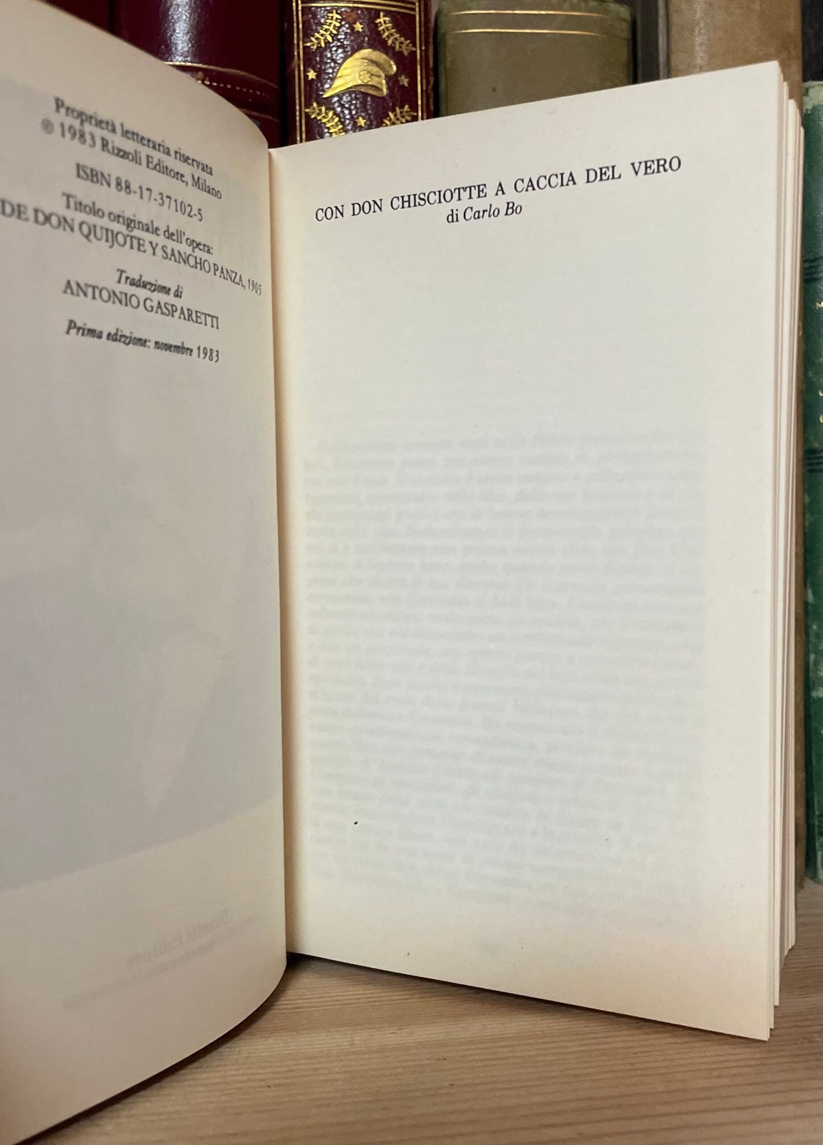 Unamuno Vita di Don Chisciotte e di Sancio a cura di Carlo Bo Rizzoli 1983 - immagine 8