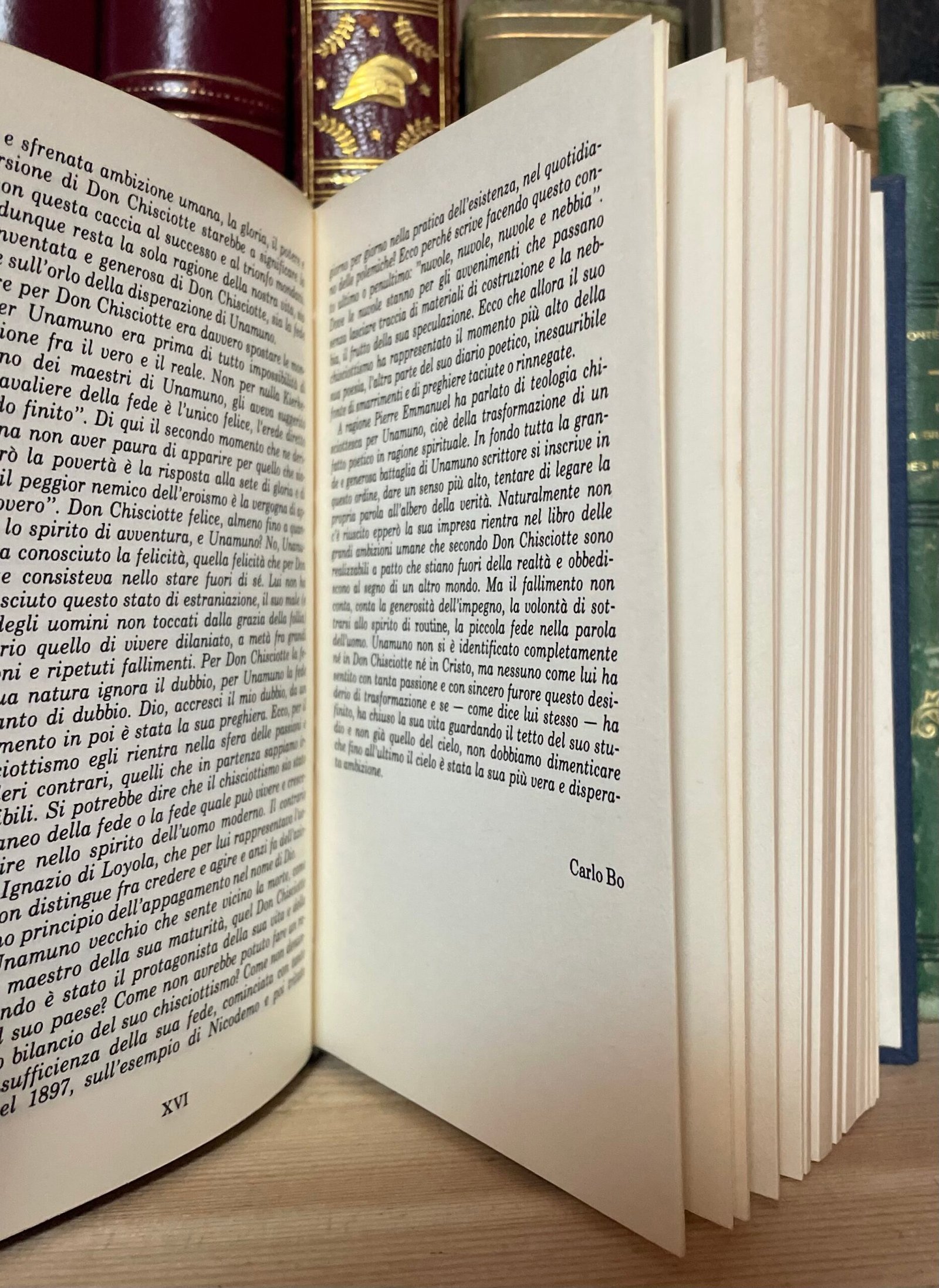 Unamuno Vita di Don Chisciotte e di Sancio a cura di Carlo Bo Rizzoli 1983 - immagine 9