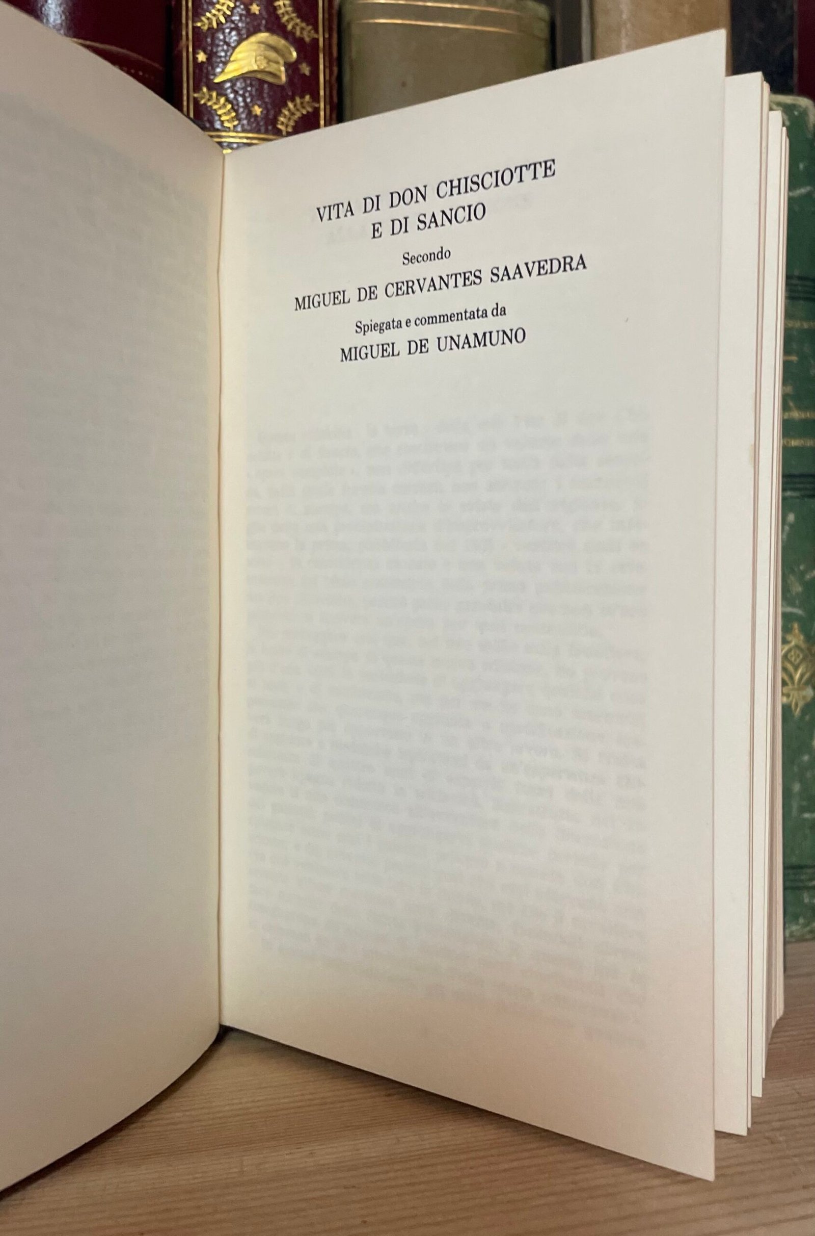 Unamuno Vita di Don Chisciotte e di Sancio a cura di Carlo Bo Rizzoli 1983 - immagine 10