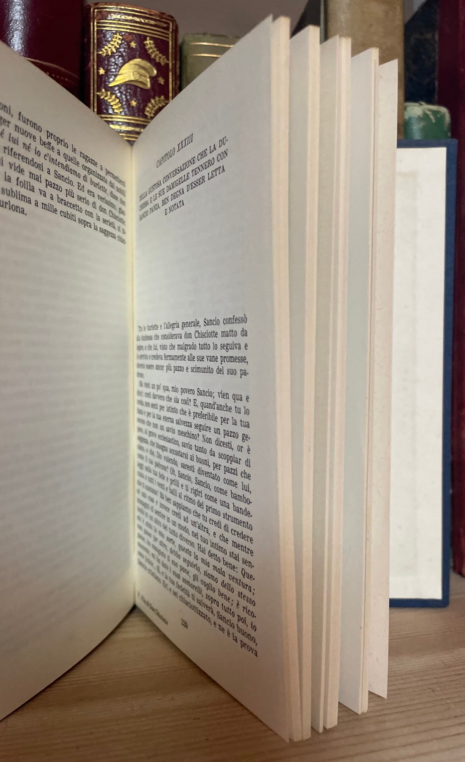 Unamuno Vita di Don Chisciotte e di Sancio a cura di Carlo Bo Rizzoli 1983 - immagine 12