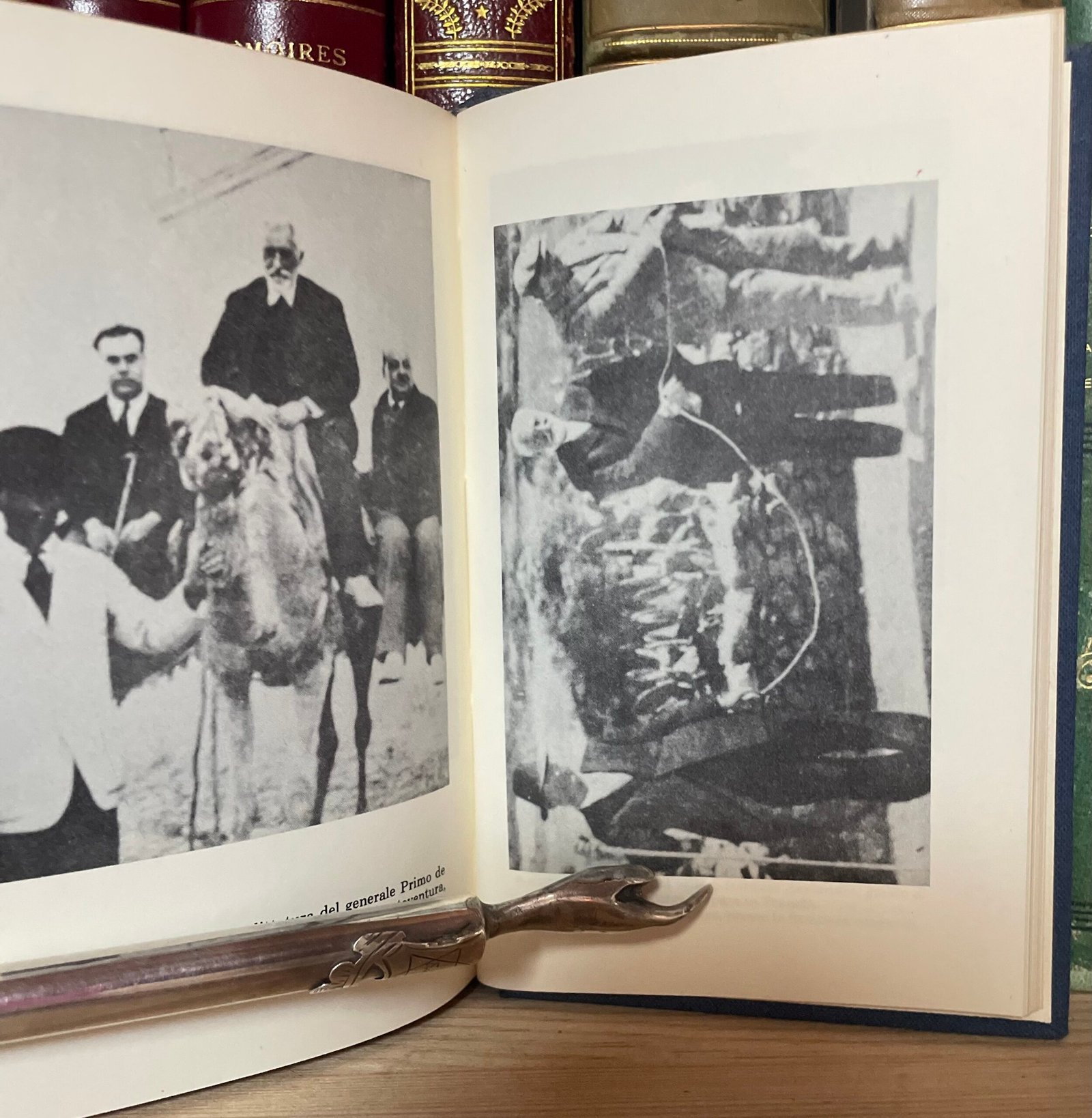 Unamuno Vita di Don Chisciotte e di Sancio a cura di Carlo Bo Rizzoli 1983 - immagine 17