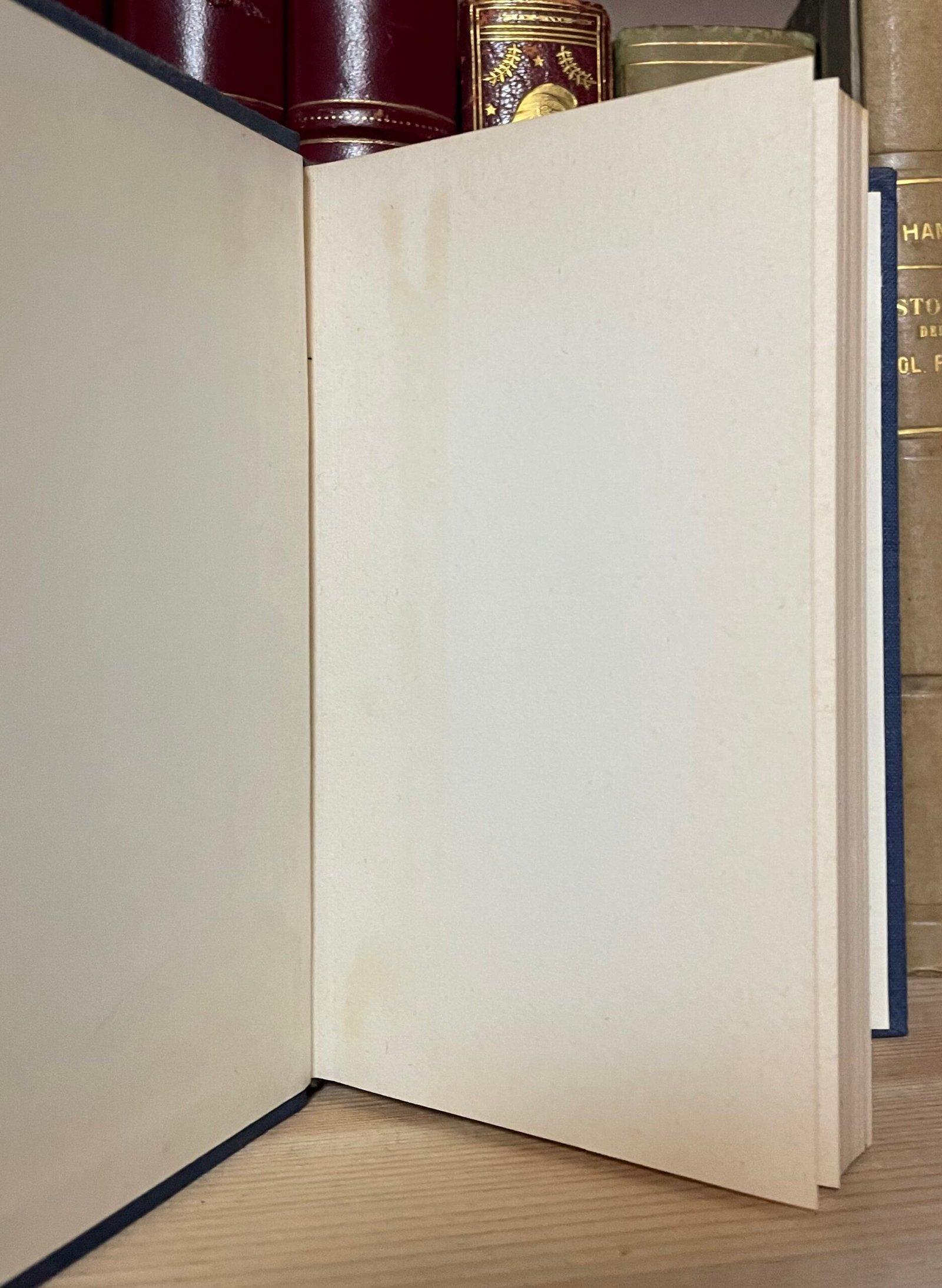 Petruccelli Della Gattina I moribondi del palazzo Carignano Rizzoli 1982 - immagine 6