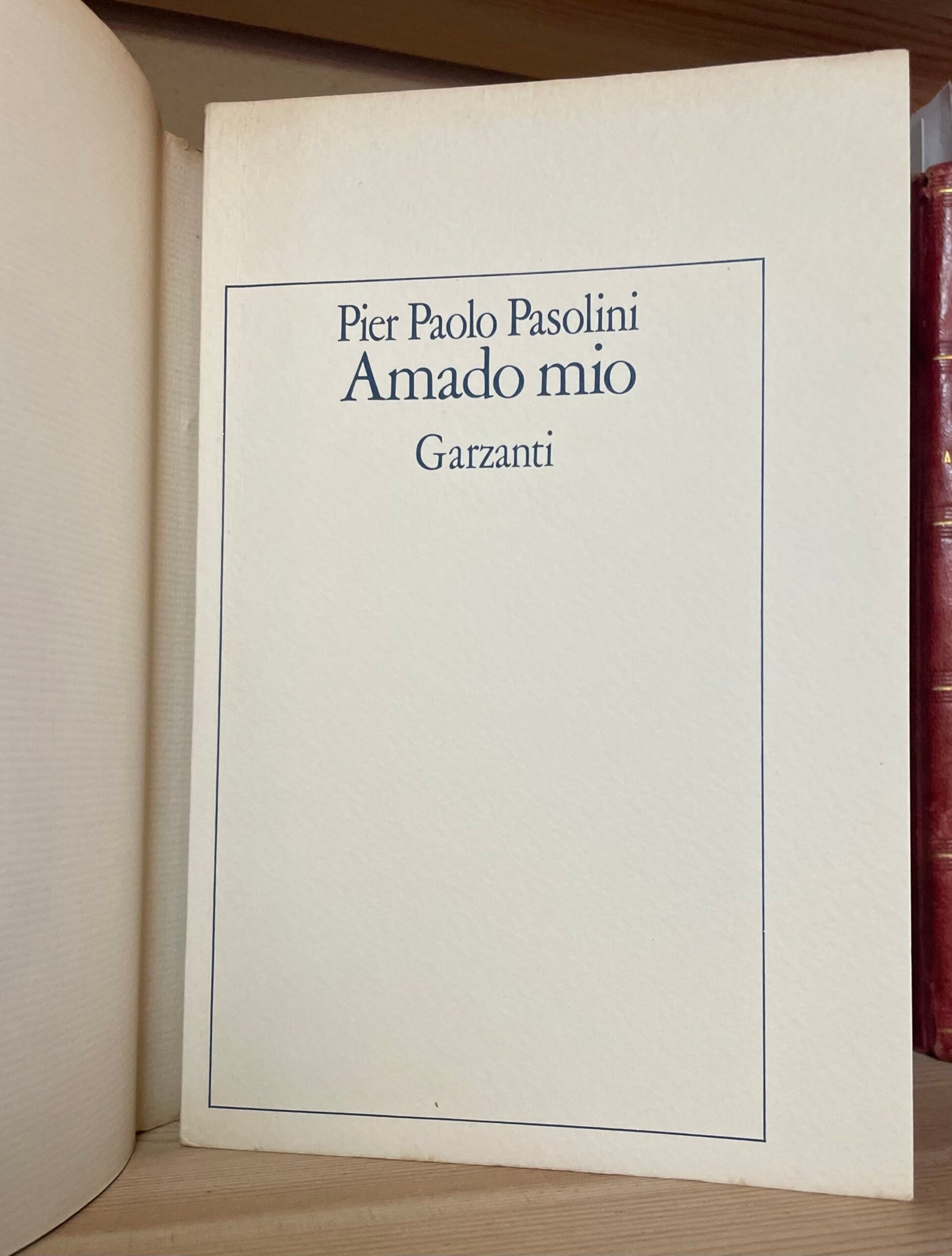 Pier Paolo Pasolini Amado mio Garzanti prima edizione 1982 - immagine 5