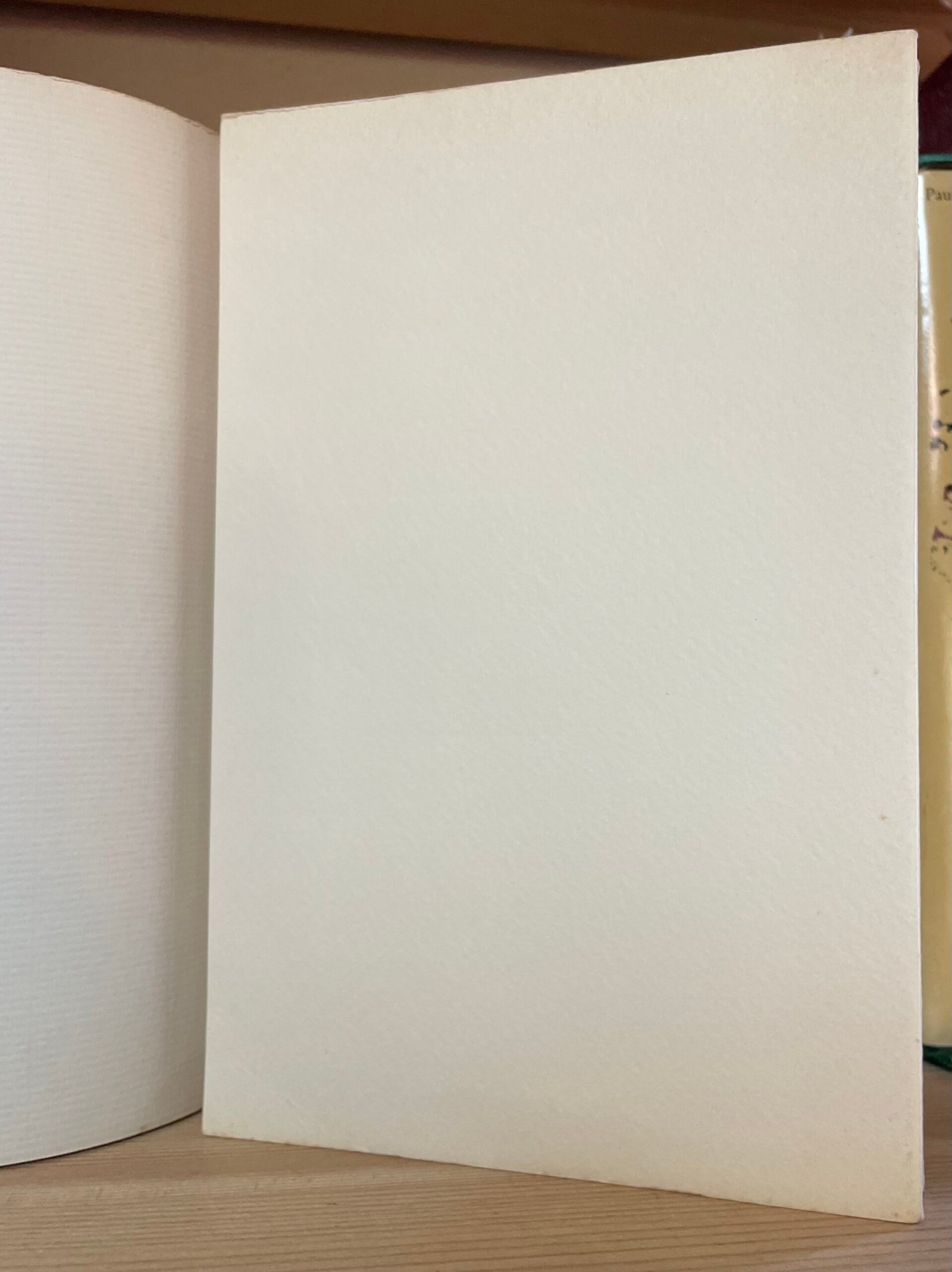 Pier Paolo Pasolini Amado mio Garzanti prima edizione 1982 - immagine 6