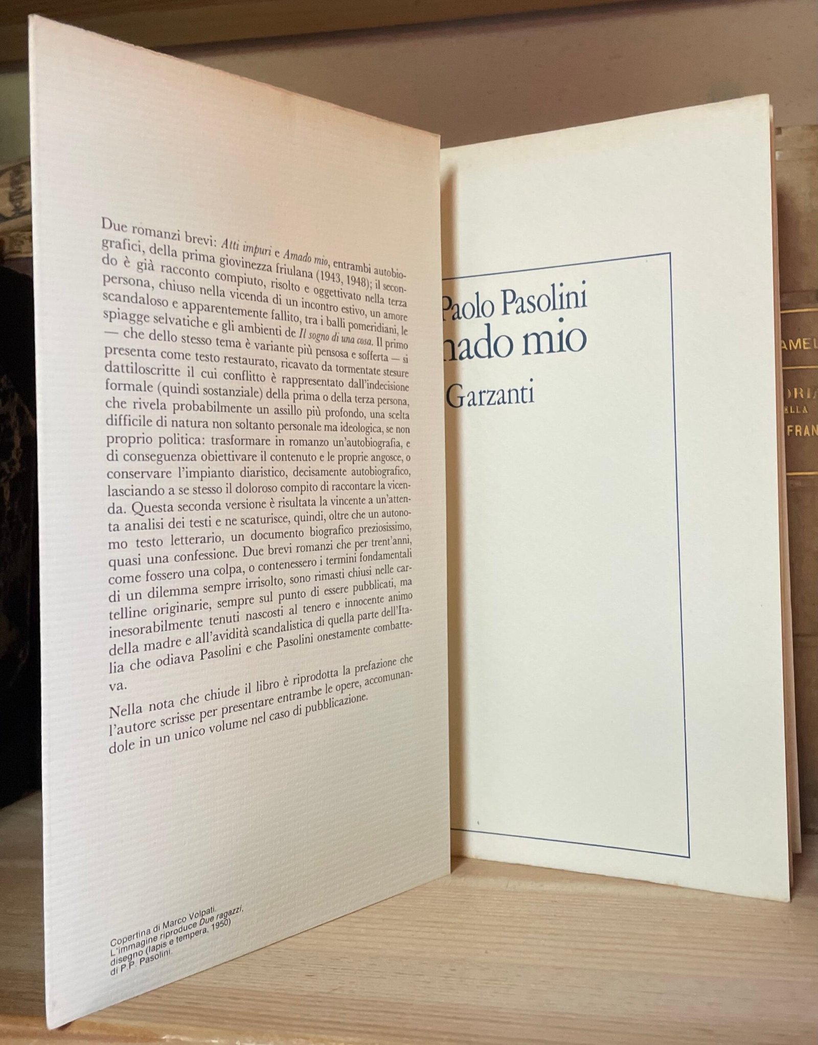 Pier Paolo Pasolini Amado mio Garzanti prima edizione 1982 - immagine 7