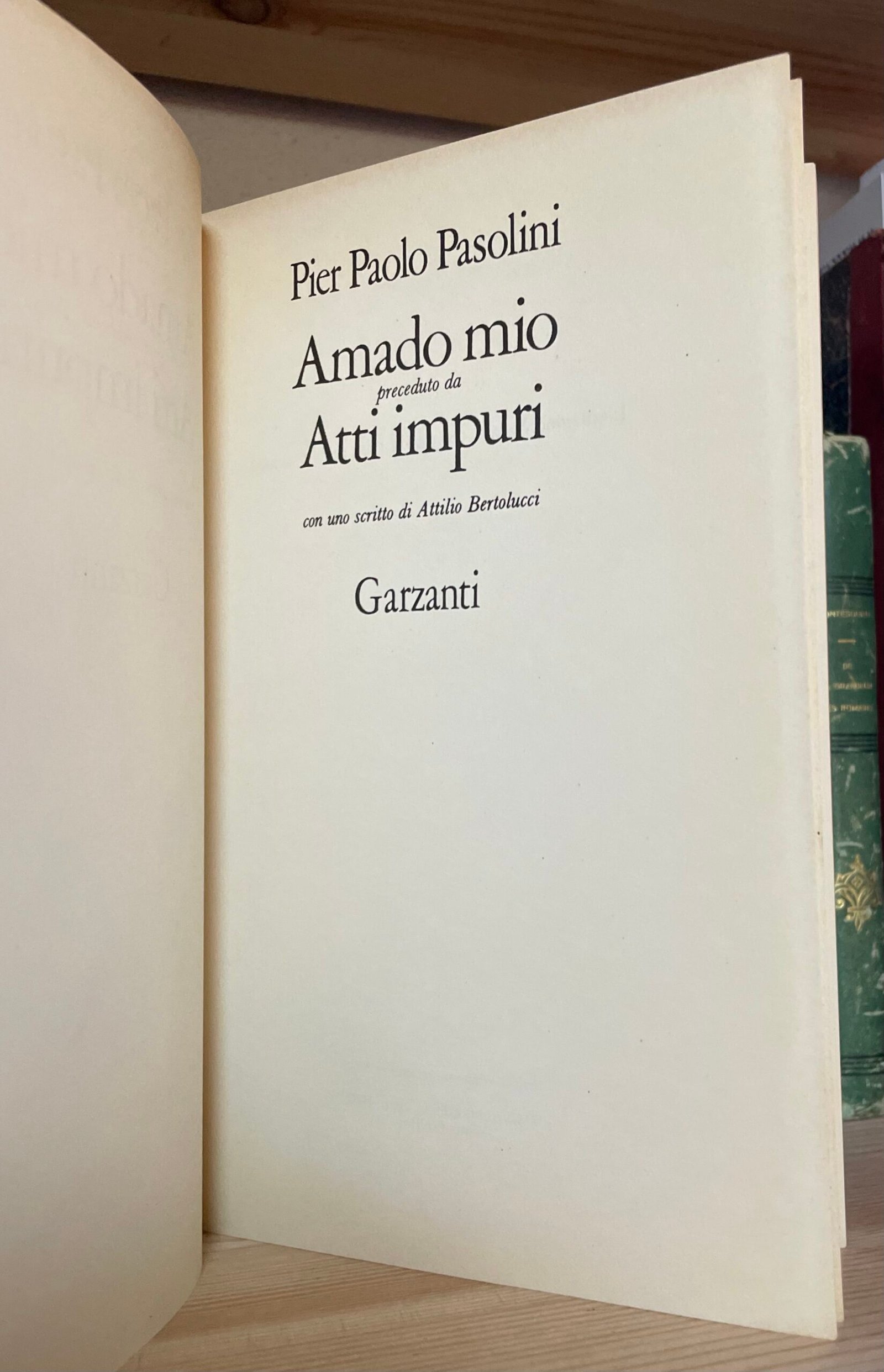 Pier Paolo Pasolini Amado mio Garzanti prima edizione 1982 - immagine 8