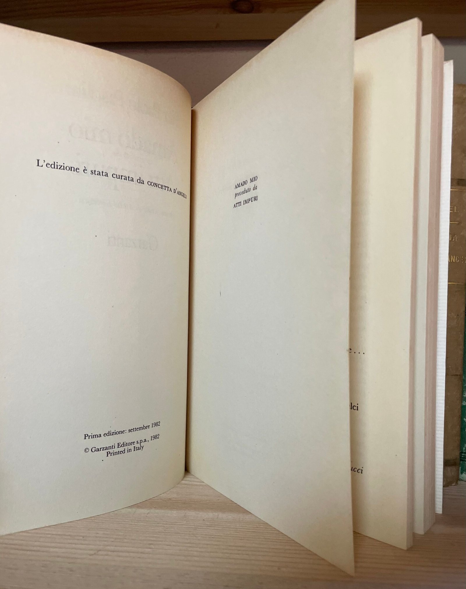 Pier Paolo Pasolini Amado mio Garzanti prima edizione 1982 - immagine 9