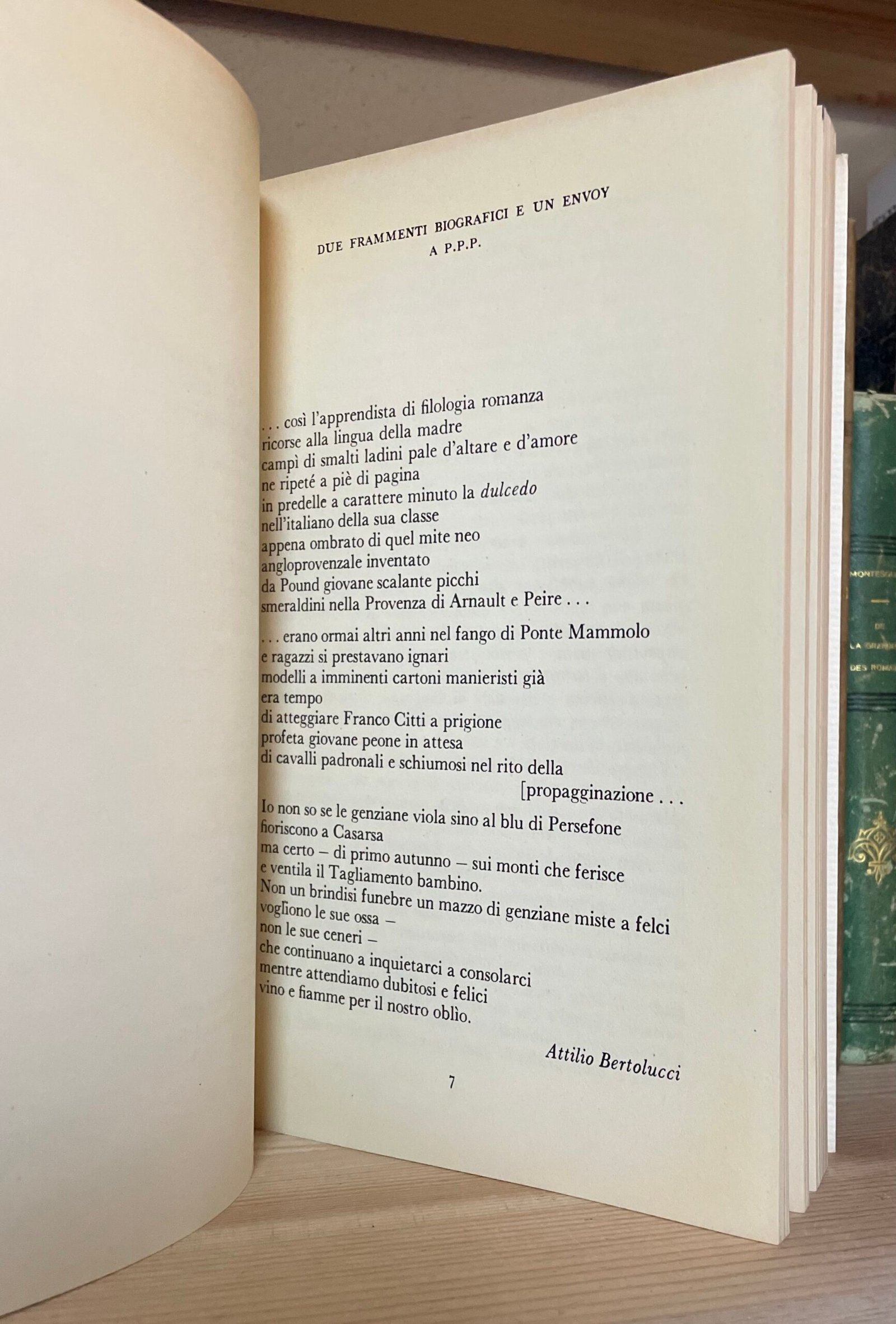 Pier Paolo Pasolini Amado mio Garzanti prima edizione 1982 - immagine 10