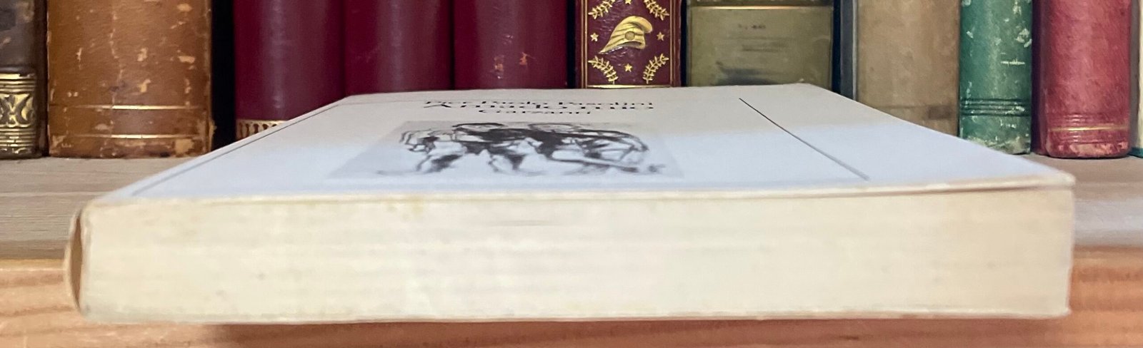 Pier Paolo Pasolini Amado mio Garzanti prima edizione 1982 - immagine 14