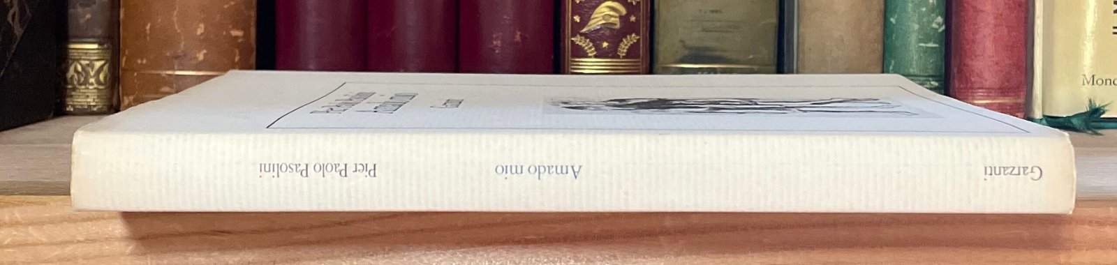 Pier Paolo Pasolini Amado mio Garzanti prima edizione 1982 - immagine 17