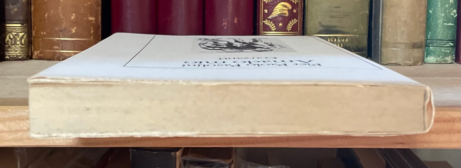 Pier Paolo Pasolini Amado mio Garzanti prima edizione 1982 - immagine 15