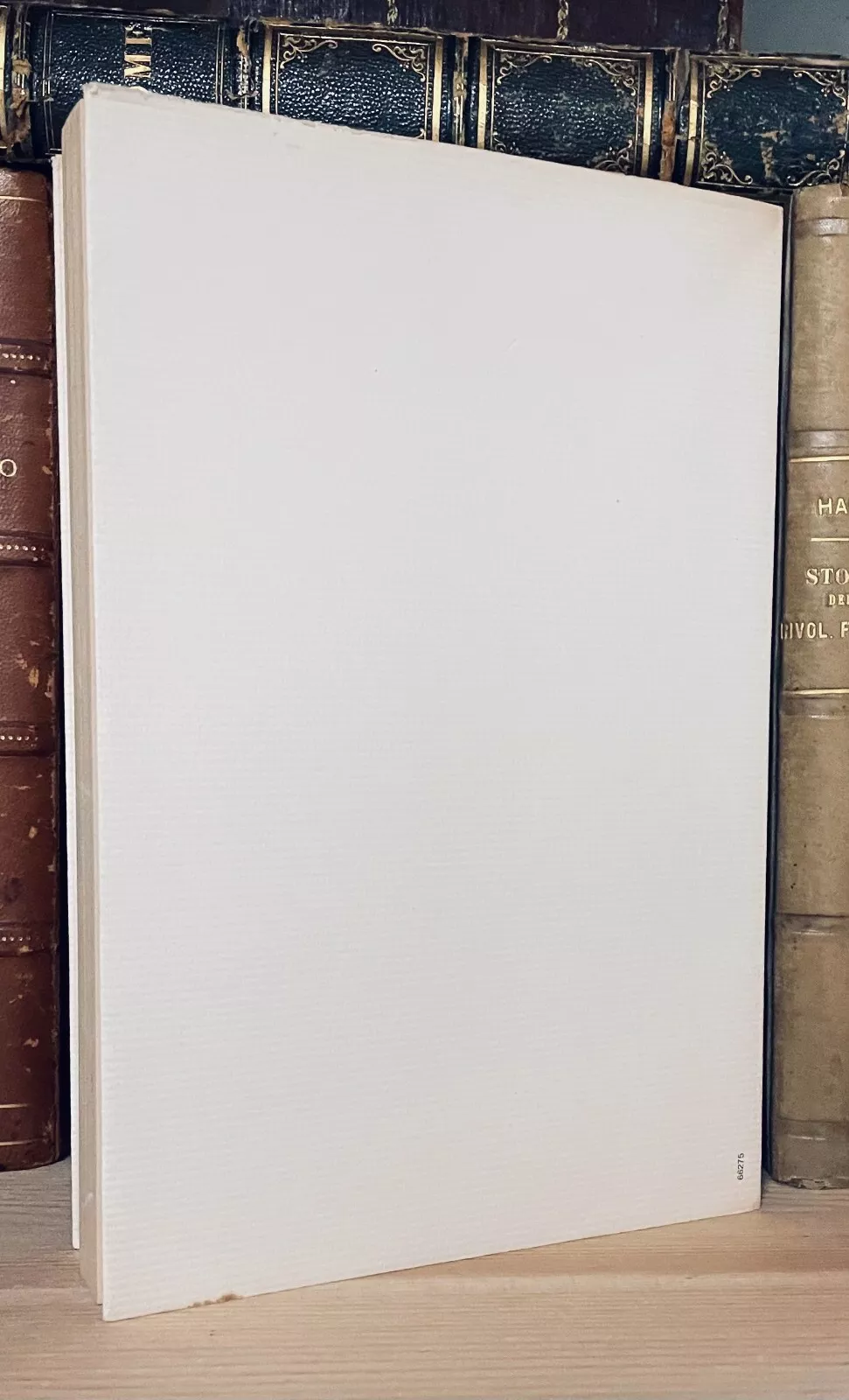 Pier Paolo Pasolini Amado mio Garzanti prima edizione 1982 - immagine 2