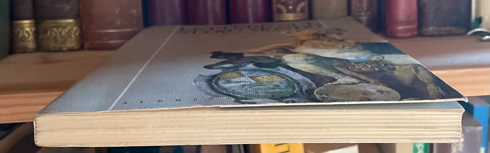 Angelo Trevisan Lettere sul Nuovo Mondo Granada 1501 Albrizzi Editore 1993 - immagine 3