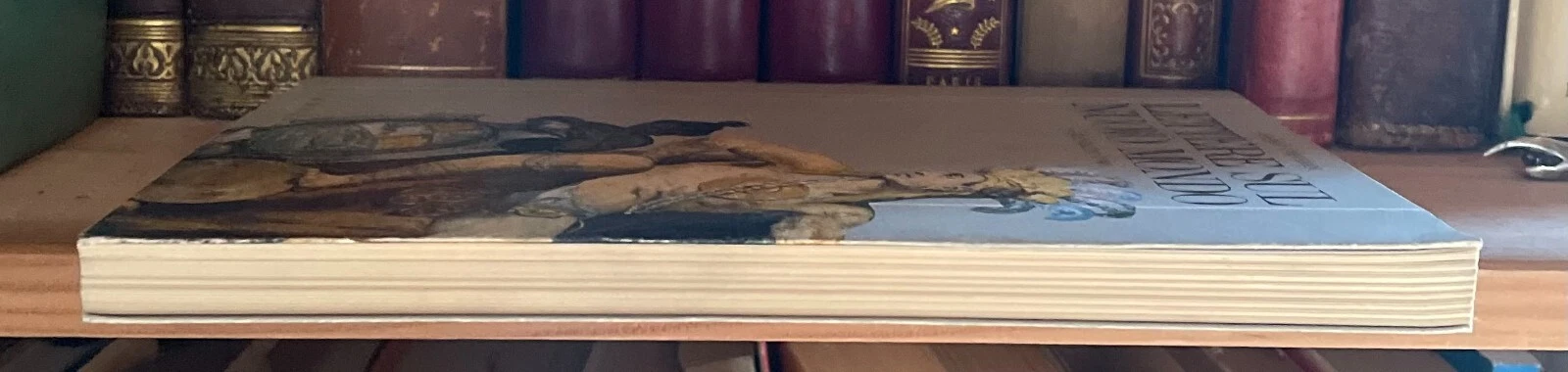 Angelo Trevisan Lettere sul Nuovo Mondo Granada 1501 Albrizzi Editore 1993 - immagine 4