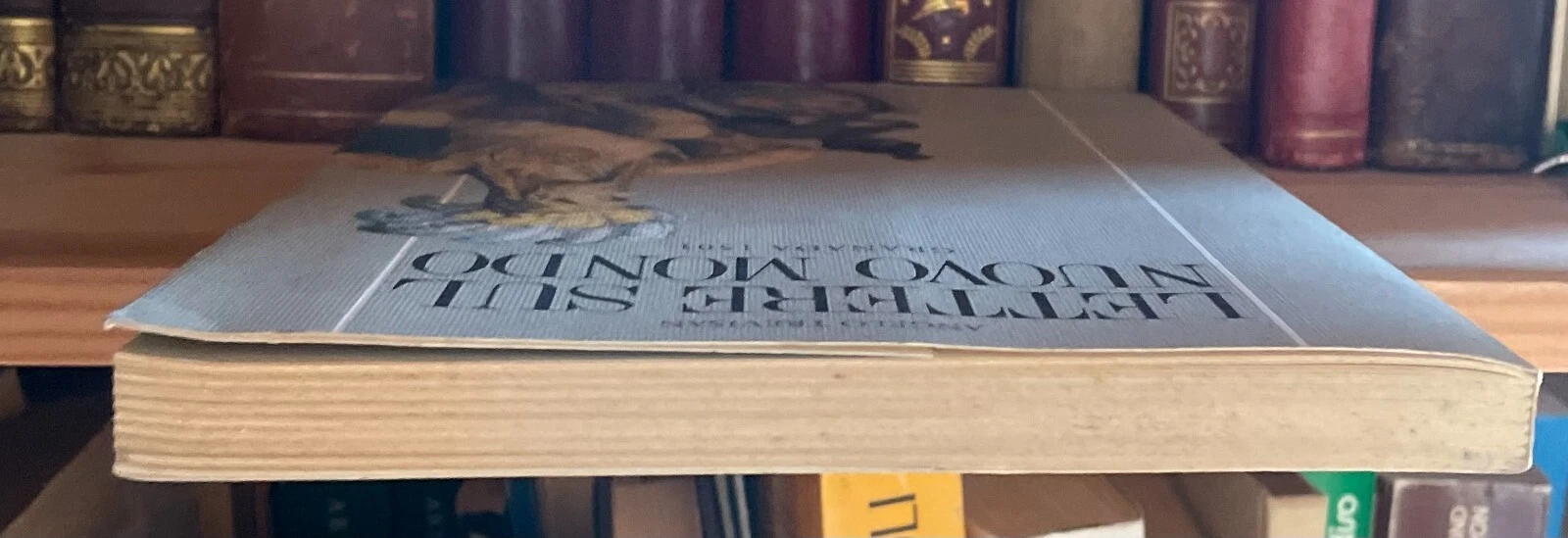 Angelo Trevisan Lettere sul Nuovo Mondo Granada 1501 Albrizzi Editore 1993 - immagine 5
