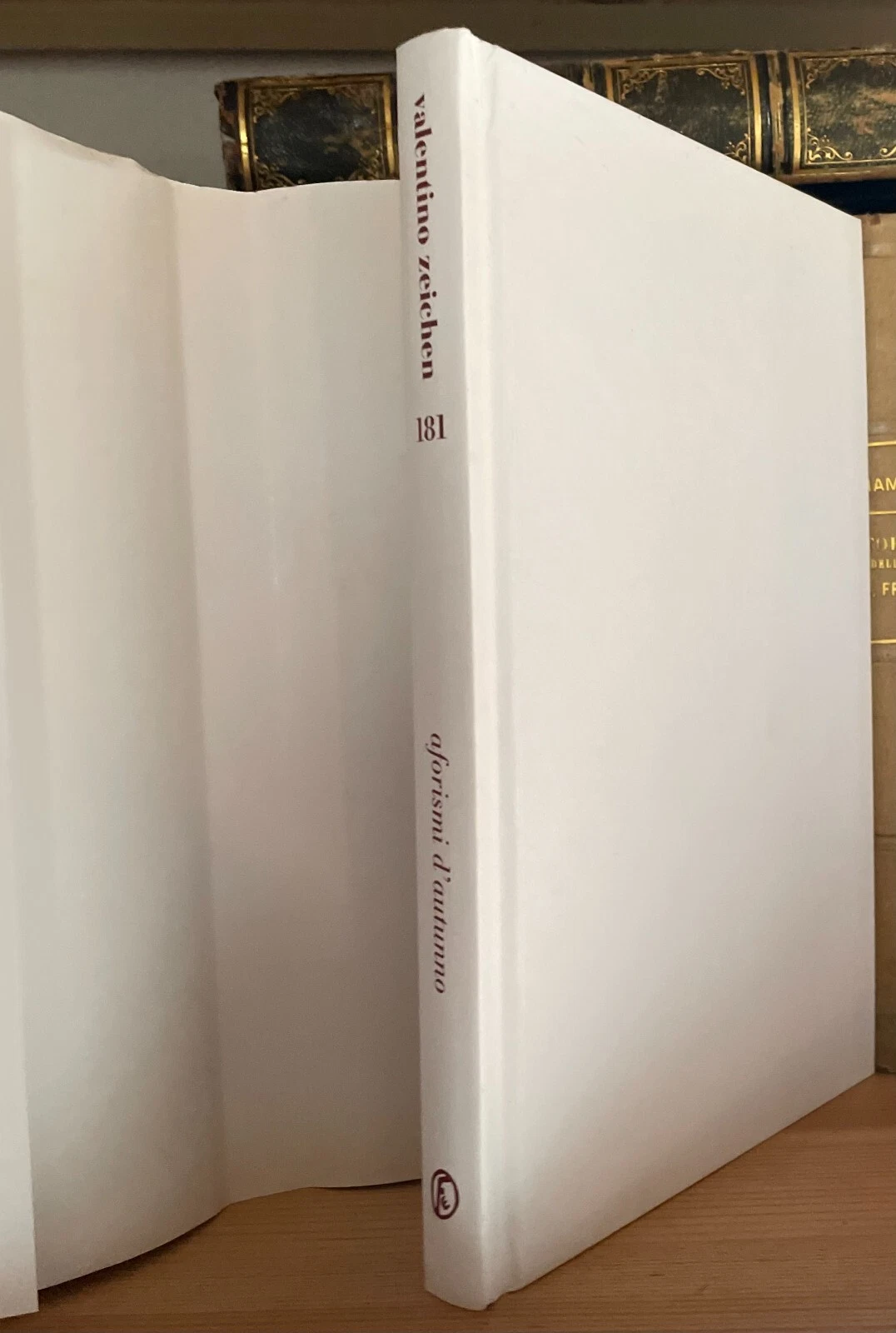 Valentino Zeichen Aforismi d'autunno Fazi Editore 2010 - immagine 3