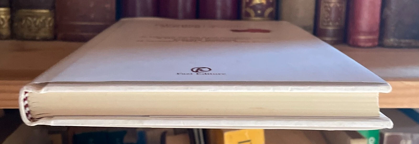 Valentino Zeichen Aforismi d'autunno Fazi Editore 2010 - immagine 4