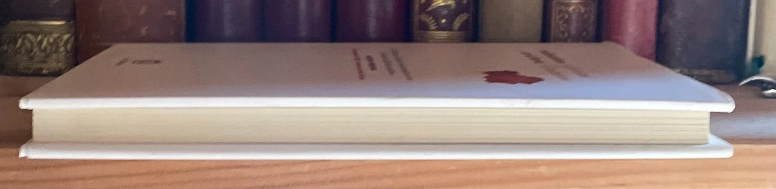 Valentino Zeichen Aforismi d'autunno Fazi Editore 2010 - immagine 5