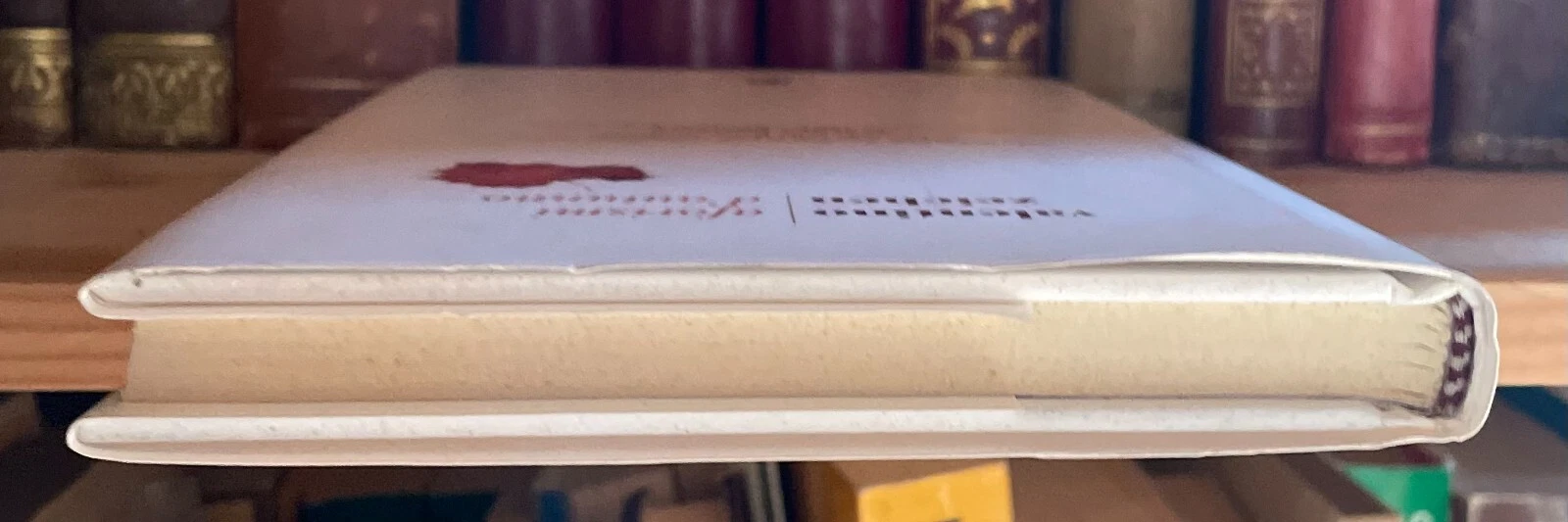 Valentino Zeichen Aforismi d'autunno Fazi Editore 2010 - immagine 6