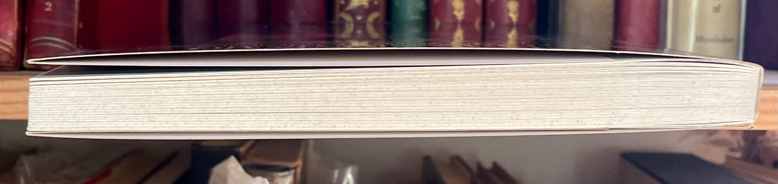 Espressionismo da Van Gogh a Klee Collezione Thyssen-Bornemisza Electa 1990 - immagine 8