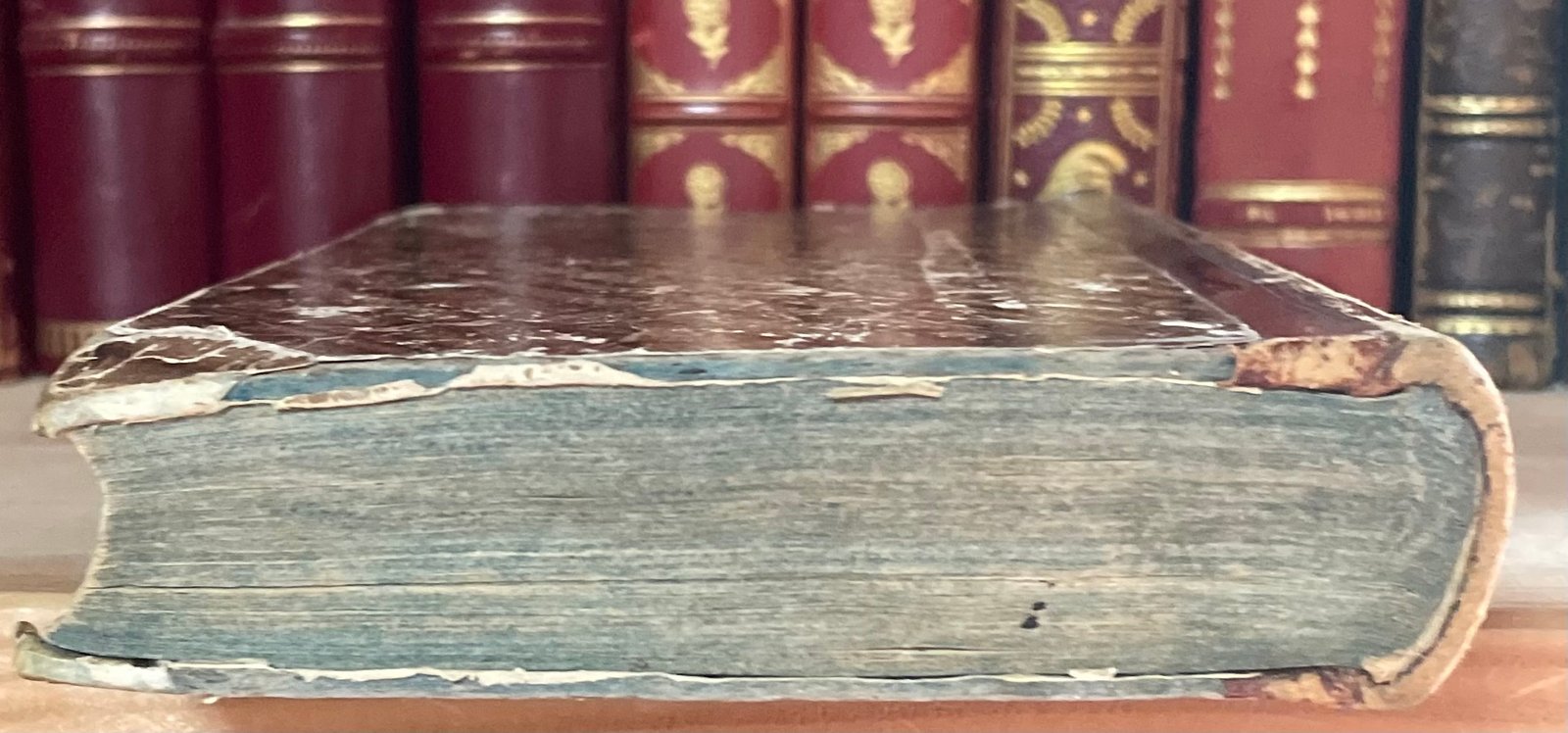 Memorie storiche sull'intervento francese in Roma nel 1849 di Federico Torre vol. 1 Torino 1851 - immagine 26