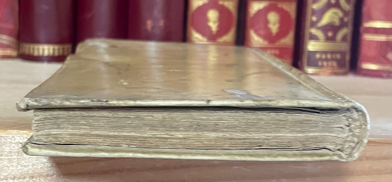 S. Luigi Gonzaga giovane angelico Nella Stamperia di S. Michele a Ripa 1727 - immagine 17