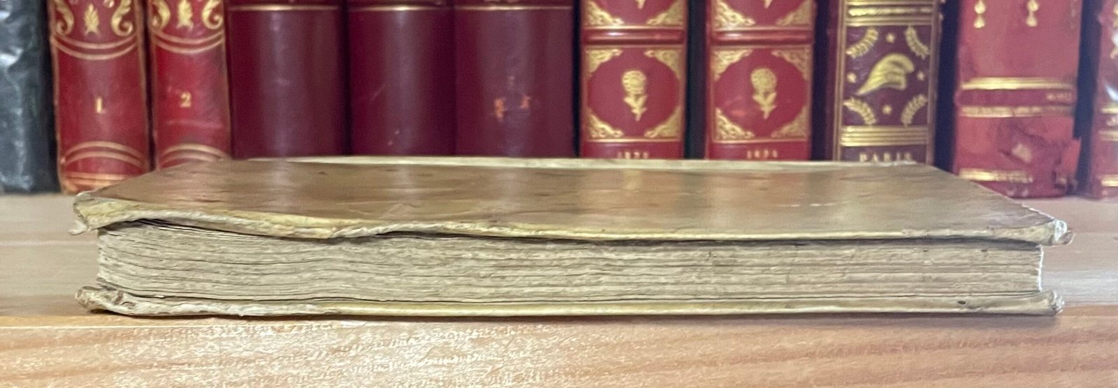 S. Luigi Gonzaga giovane angelico Nella Stamperia di S. Michele a Ripa 1727 - immagine 18