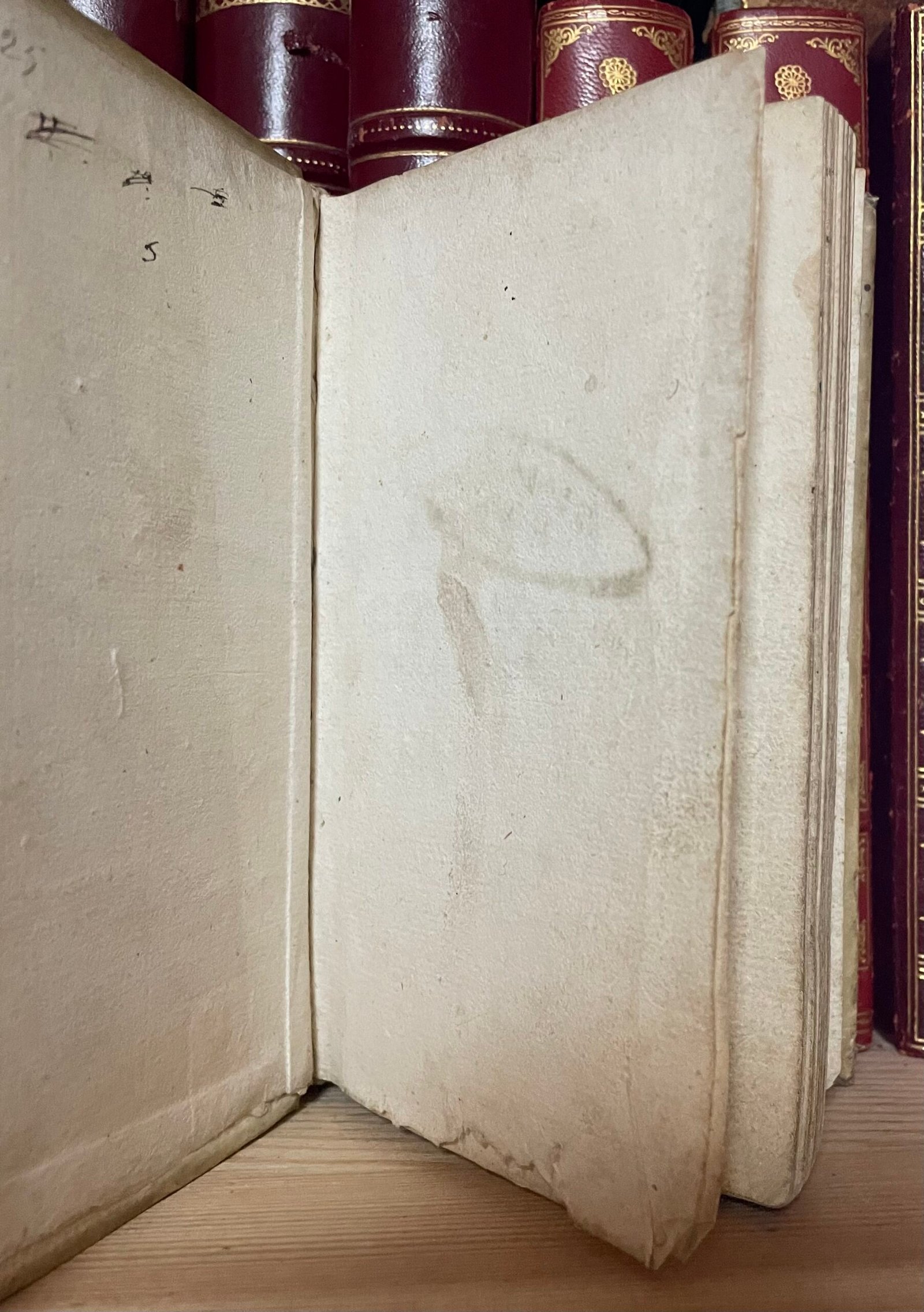S. Luigi Gonzaga giovane angelico Nella Stamperia di S. Michele a Ripa 1727 - immagine 4