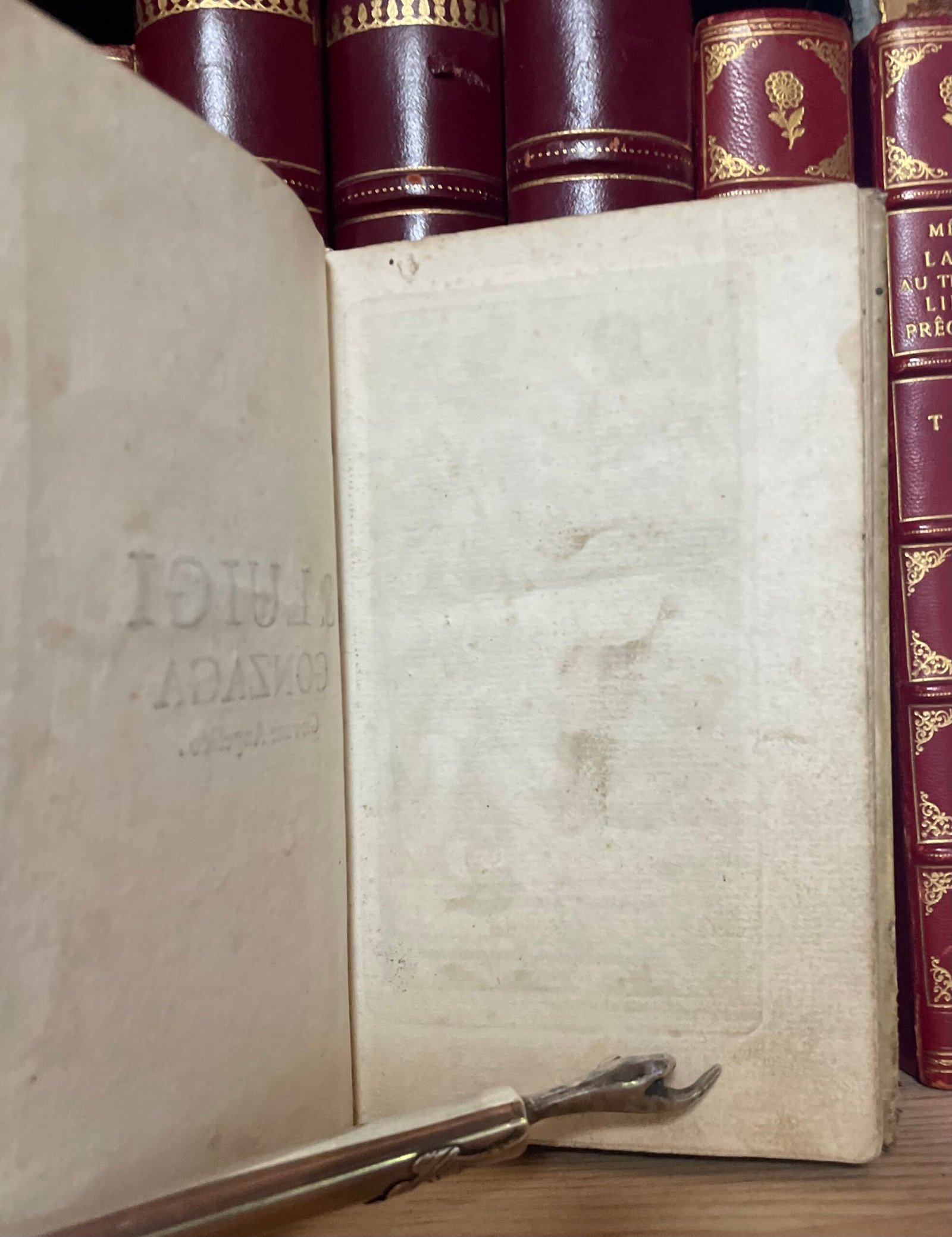 S. Luigi Gonzaga giovane angelico Nella Stamperia di S. Michele a Ripa 1727 - immagine 6