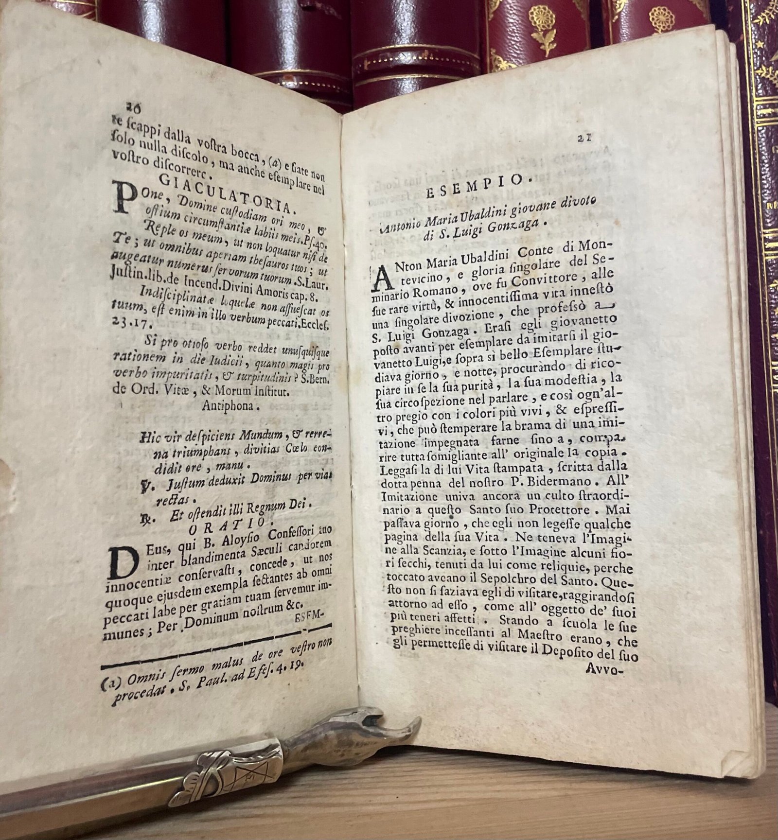 S. Luigi Gonzaga giovane angelico Nella Stamperia di S. Michele a Ripa 1727 - immagine 9