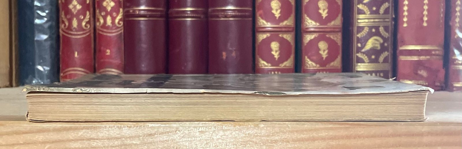 Condividi Vademecum dello stile fascista a cura Asvero Gravelli Nuova Europa Editrice - immagine 19