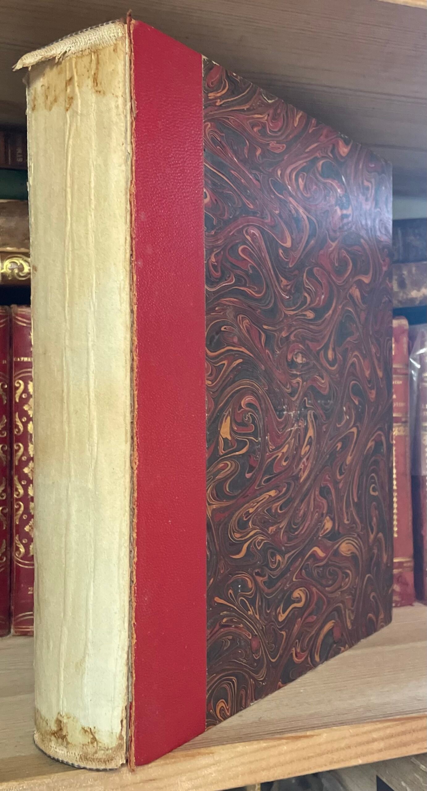 Mater Christi collezione di studi Mariani Catholica Fides 1958 - immagine 5