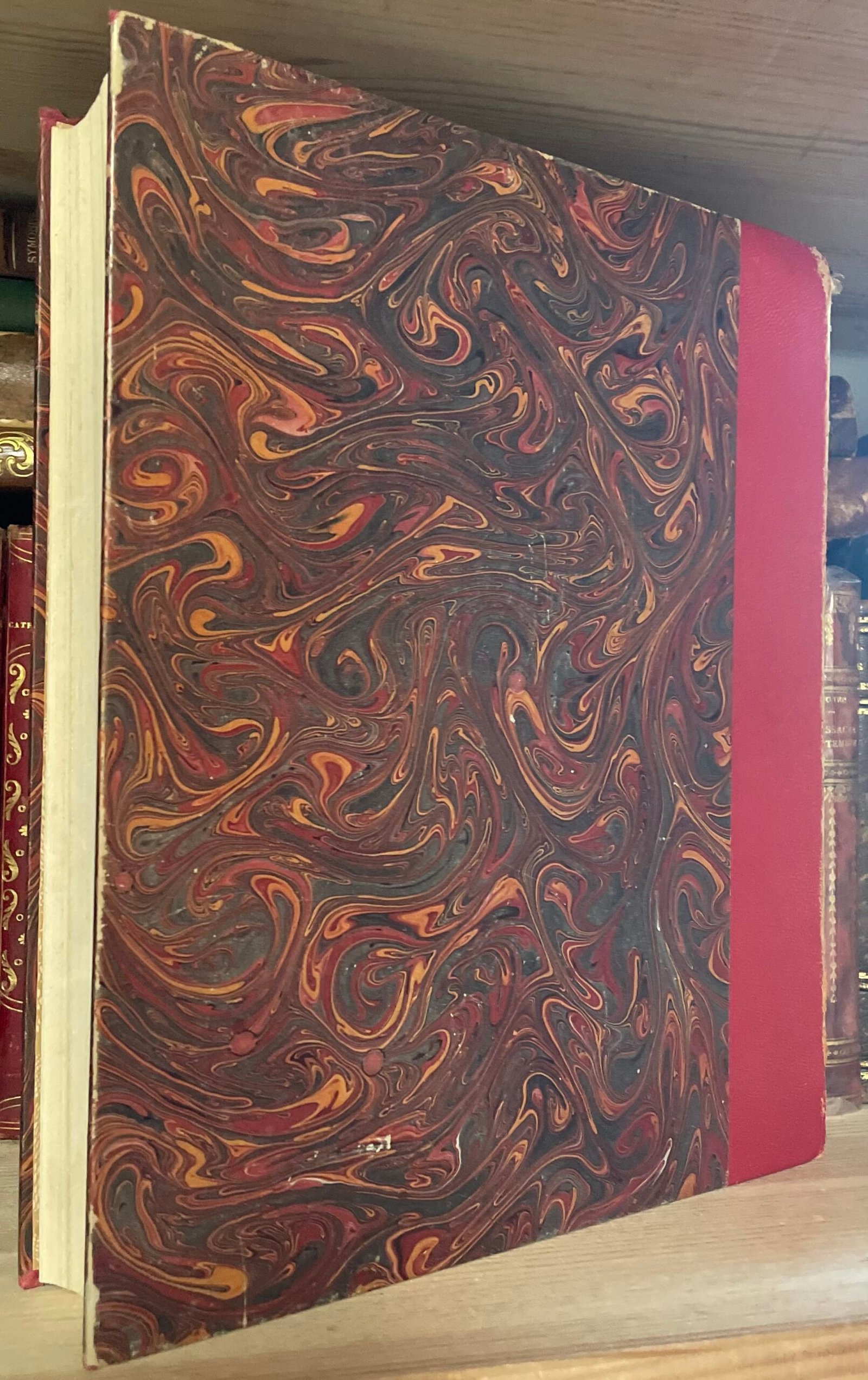 Mater Christi collezione di studi Mariani Catholica Fides 1958 - immagine 3