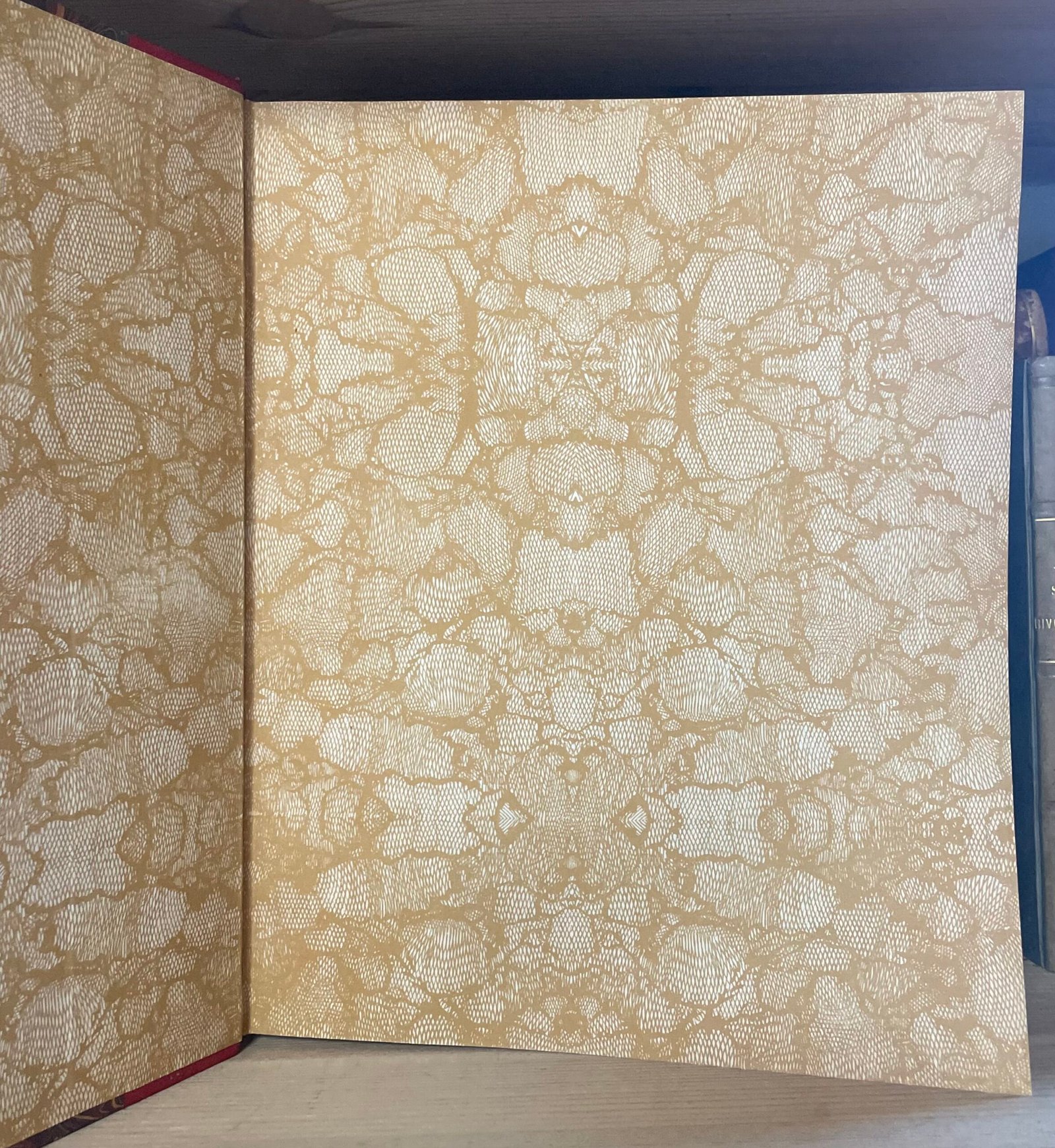 Mater Christi collezione di studi Mariani Catholica Fides 1958 - immagine 6