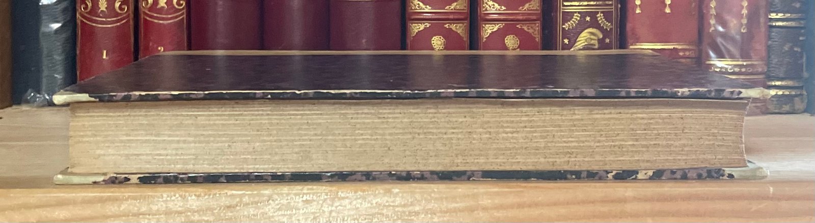 Pinto Storia della medicina in Roma al tempo dei Re e della Repubblica 1879 - immagine 12