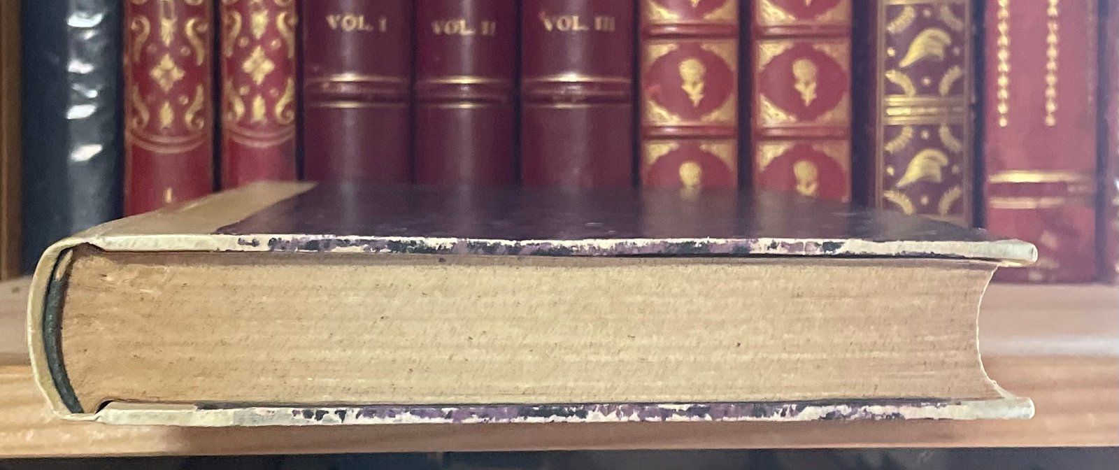 Pinto Storia della medicina in Roma al tempo dei Re e della Repubblica 1879 - immagine 13