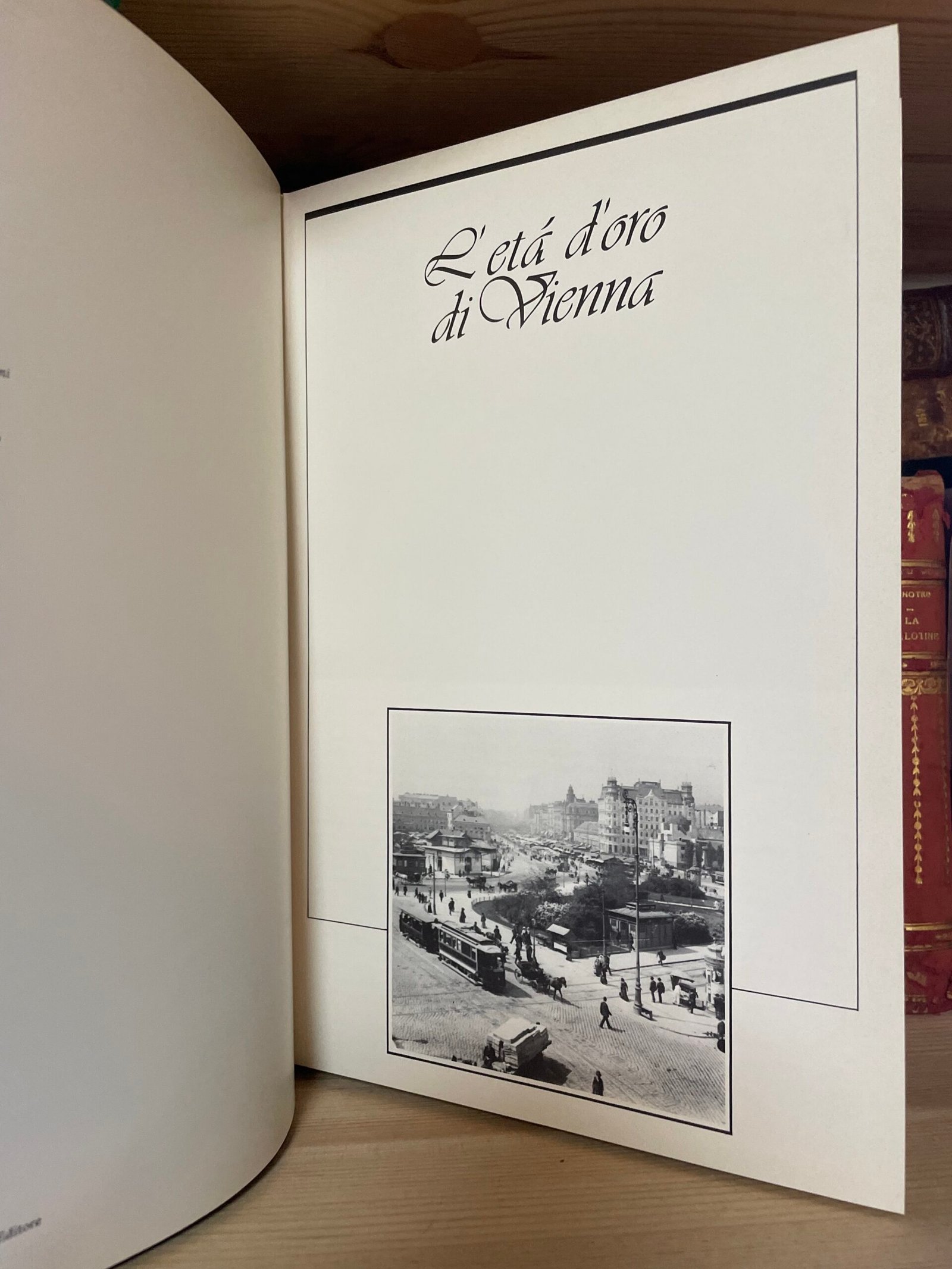 Vienna Vienna La capitale della nostalgia che ha inventato il nostro presente - immagine 6