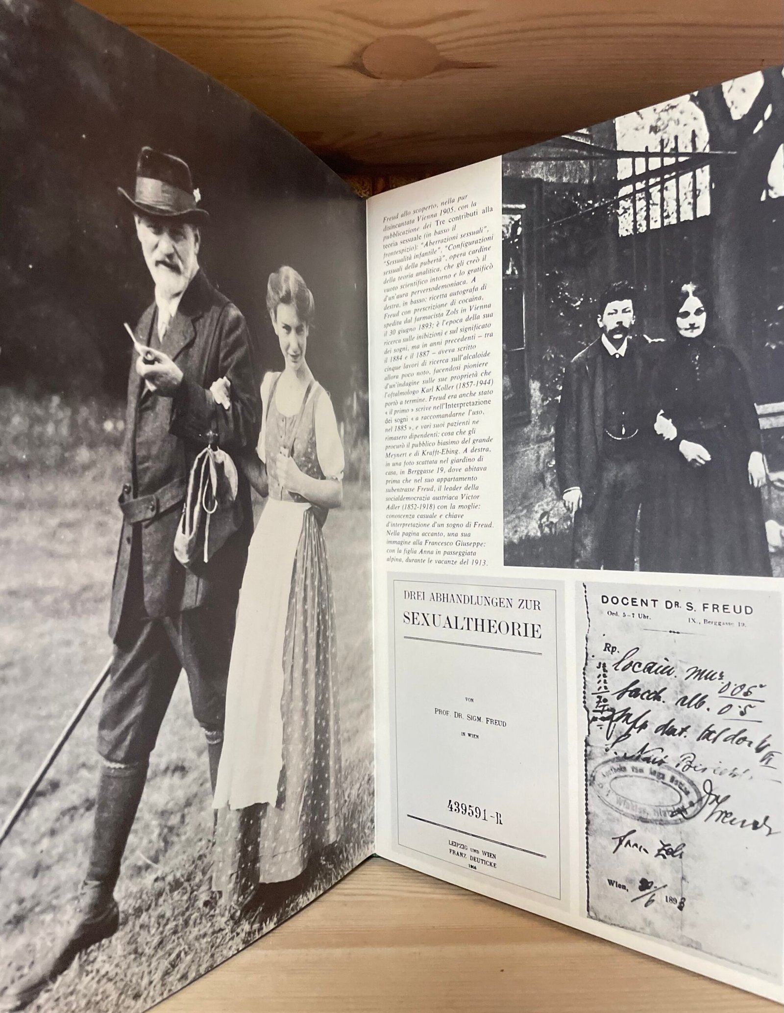 Vienna Vienna La capitale della nostalgia che ha inventato il nostro presente - immagine 16