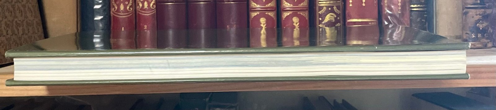 Minucci Carli L'Abbazia di Monteoliveto Electa Editrice per MPS 1961 - immagine 19