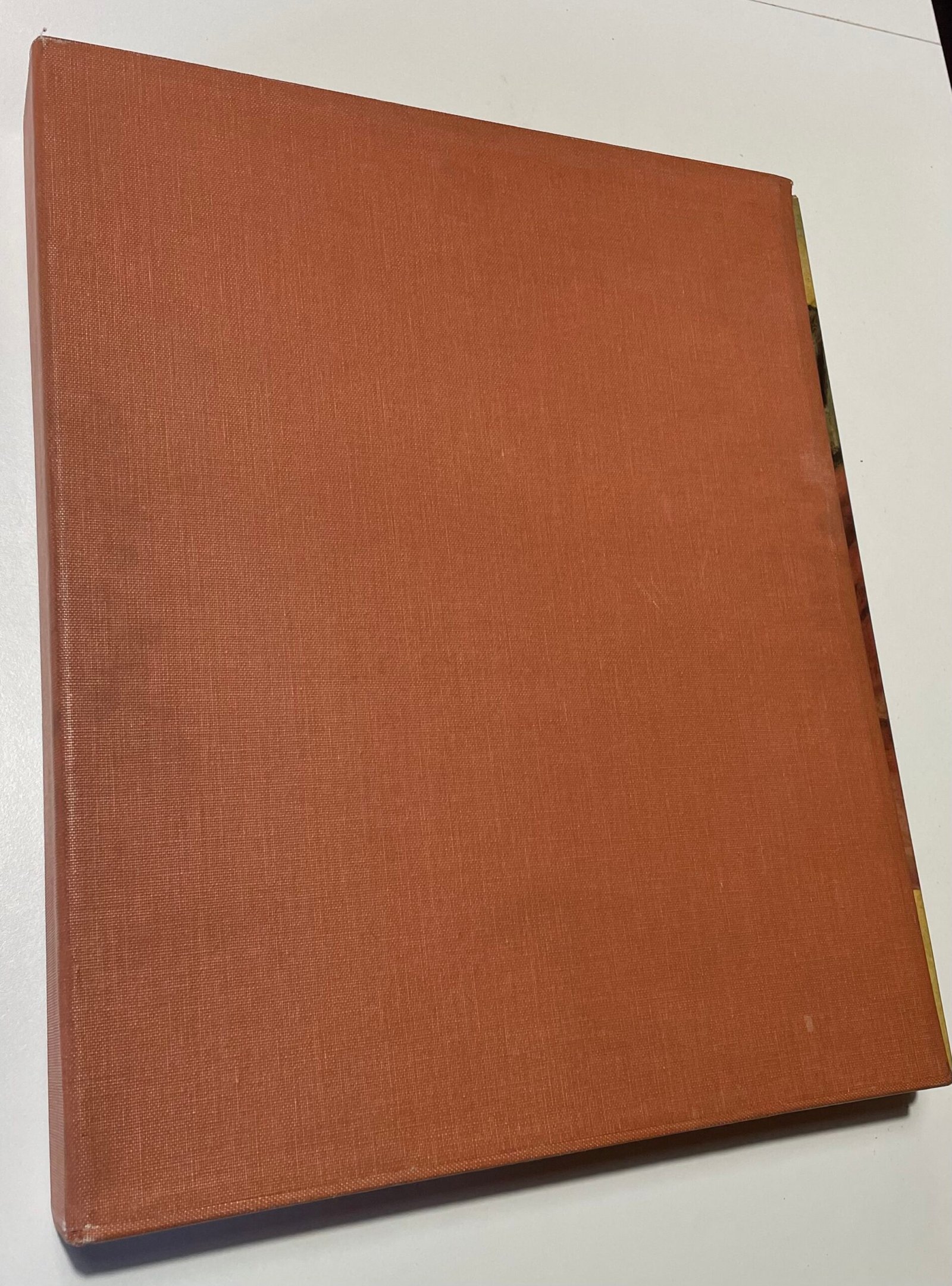 Le pitture nere di Goya alla quinta del sordo Rizzoli seconda edizione 1974 - immagine 4