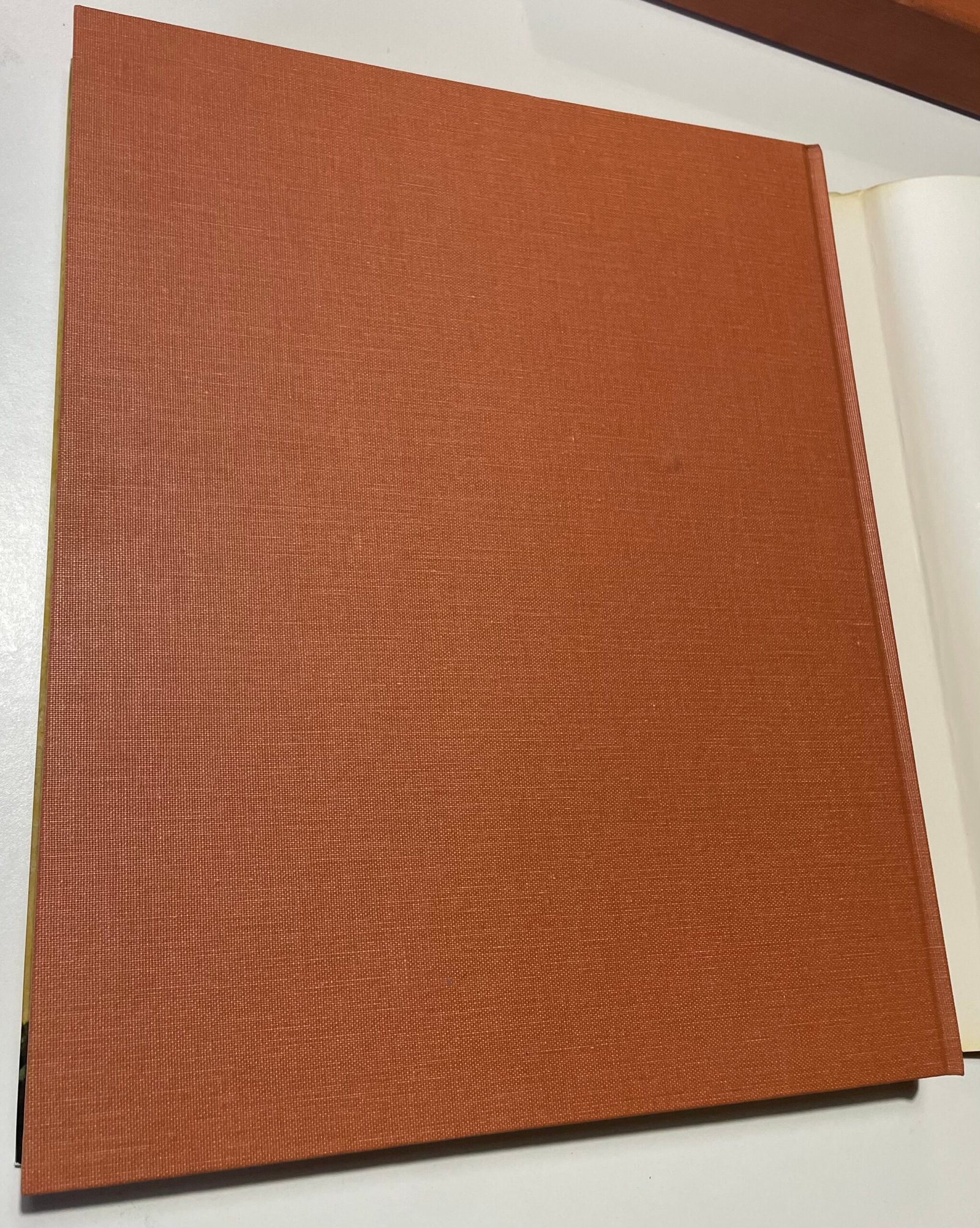 Le pitture nere di Goya alla quinta del sordo Rizzoli seconda edizione 1974 - immagine 6