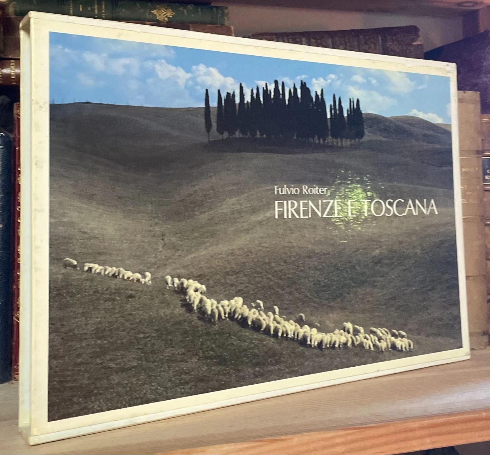 Fulvio Roiter Firenze e Toscana Magnus Edizioni 1981 - immagine 14