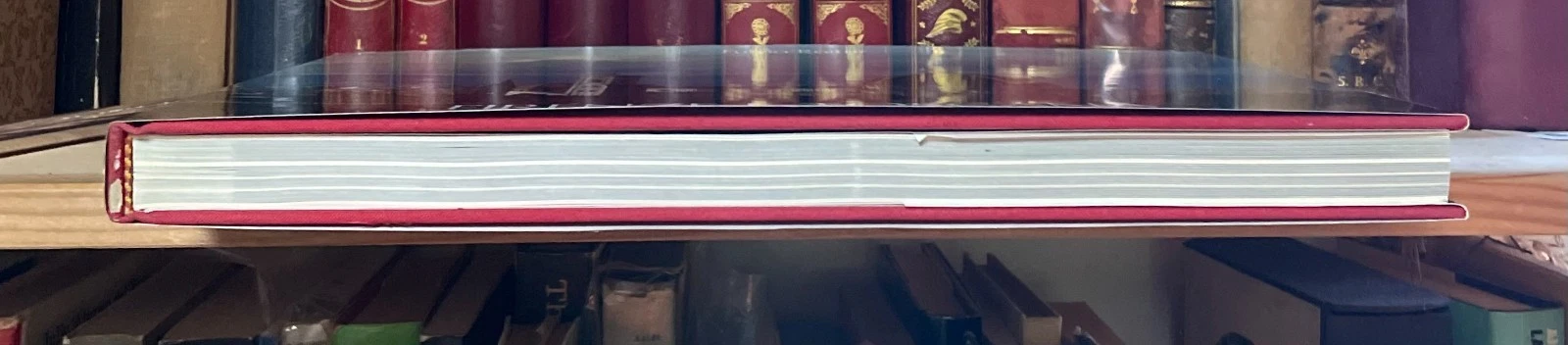 Fulvio Roiter Firenze e Toscana Magnus Edizioni 1981 - immagine 16