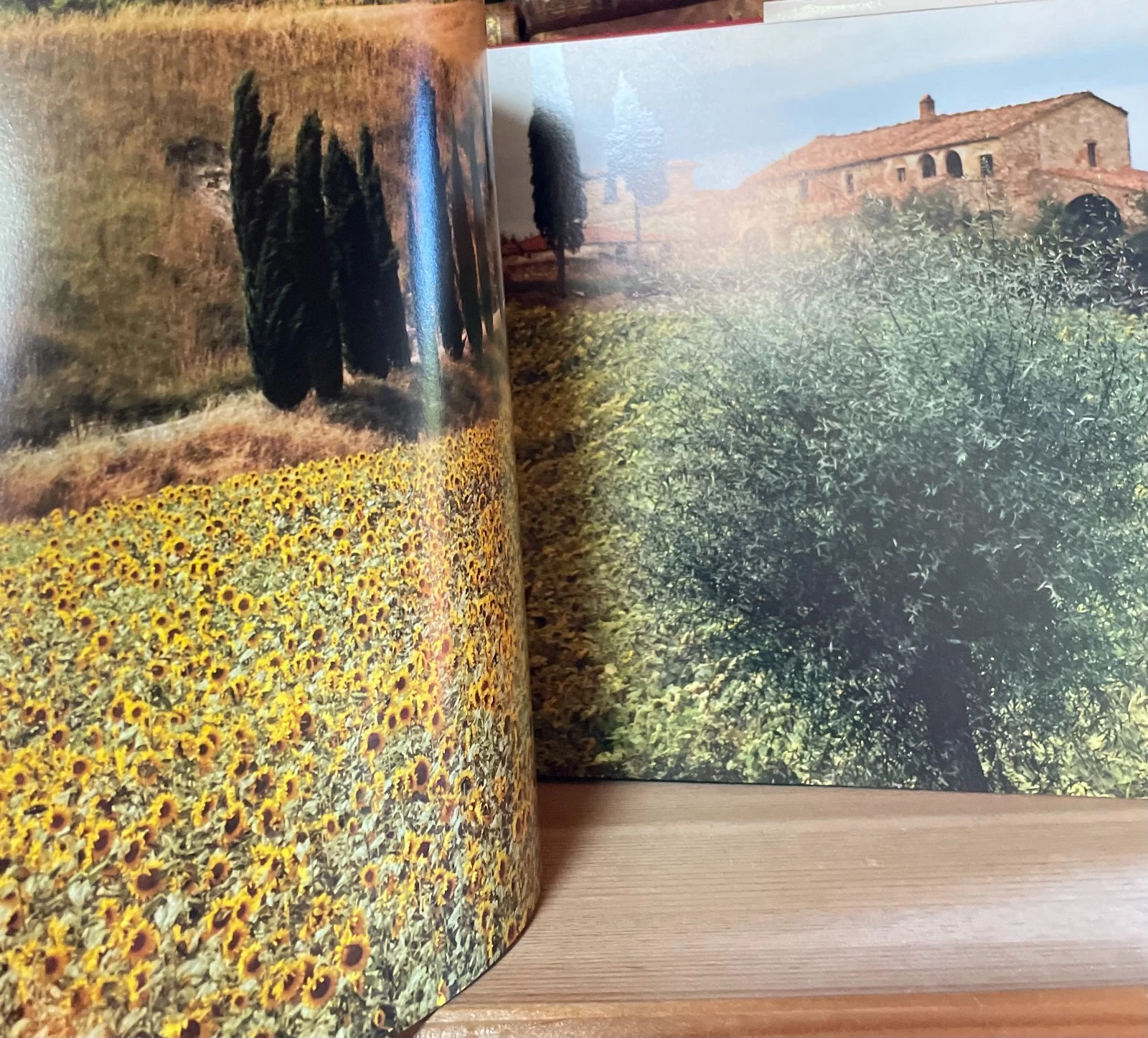 Fulvio Roiter Firenze e Toscana Magnus Edizioni 1981 - immagine 11