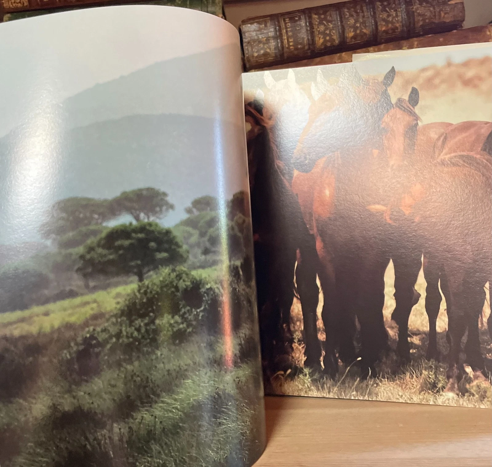 Fulvio Roiter Firenze e Toscana Magnus Edizioni 1981 - immagine 13