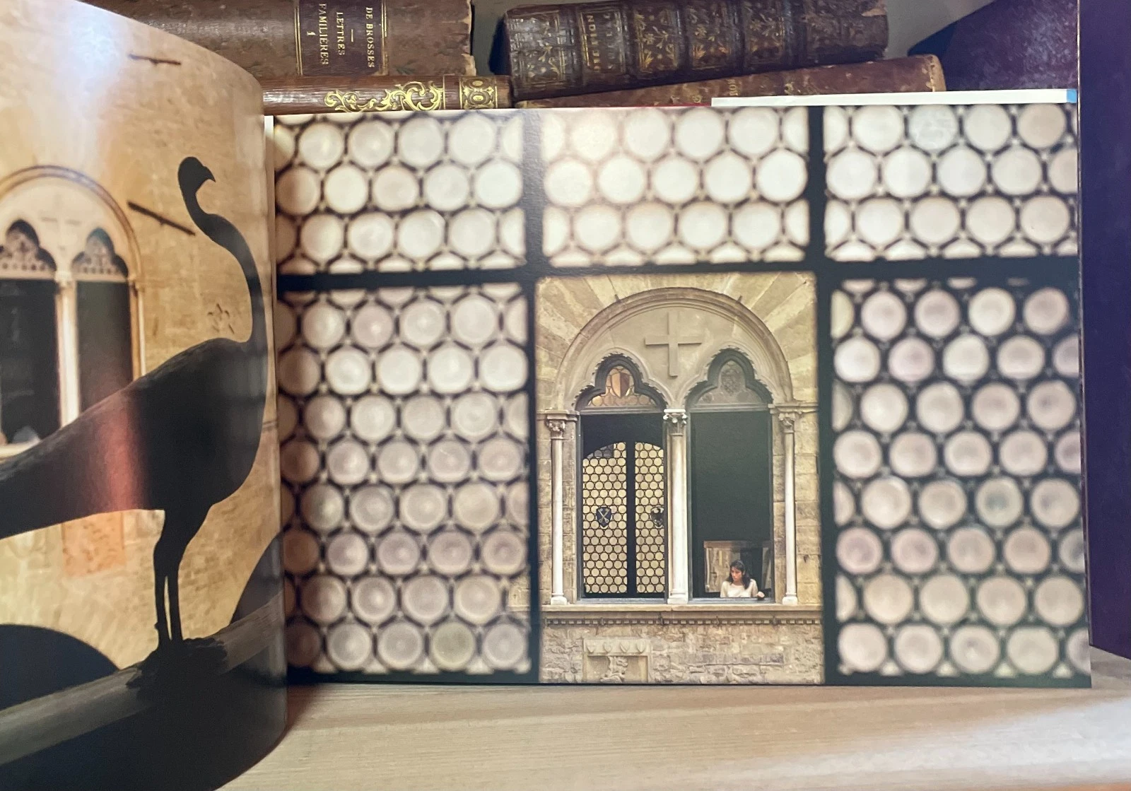 Fulvio Roiter Firenze e Toscana Magnus Edizioni 1981 - immagine 6