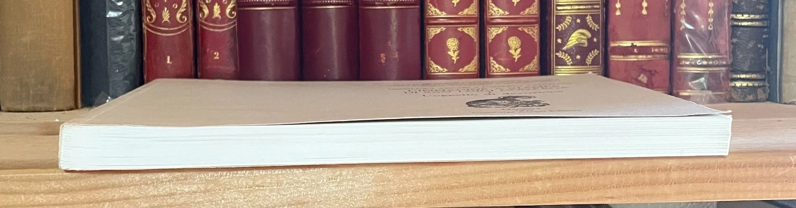 L'immagine a stampa di San Luigi Gonzaga Arcari Editori 1997 Volume 1 - immagine 15