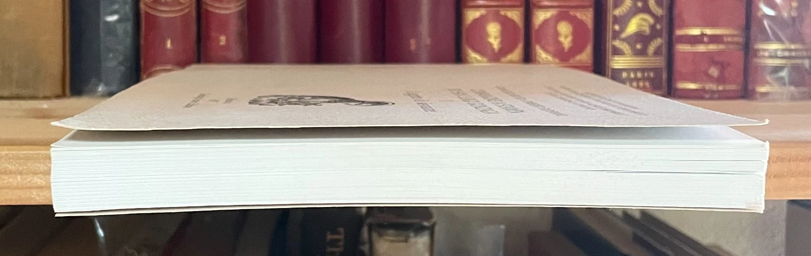 L'immagine a stampa di San Luigi Gonzaga Arcari Editori 1997 Volume 1 - immagine 16