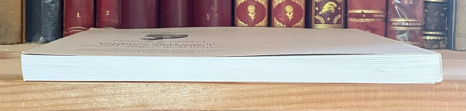 L'immagine a stampa di San Luigi Gonzaga Arcari Editori 1997 Volume 1 - immagine 17